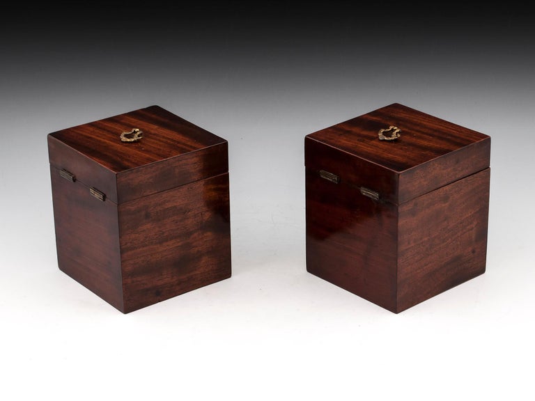 Pair of Antique Mahogany Tea Caddies, 19th Century For Sale at