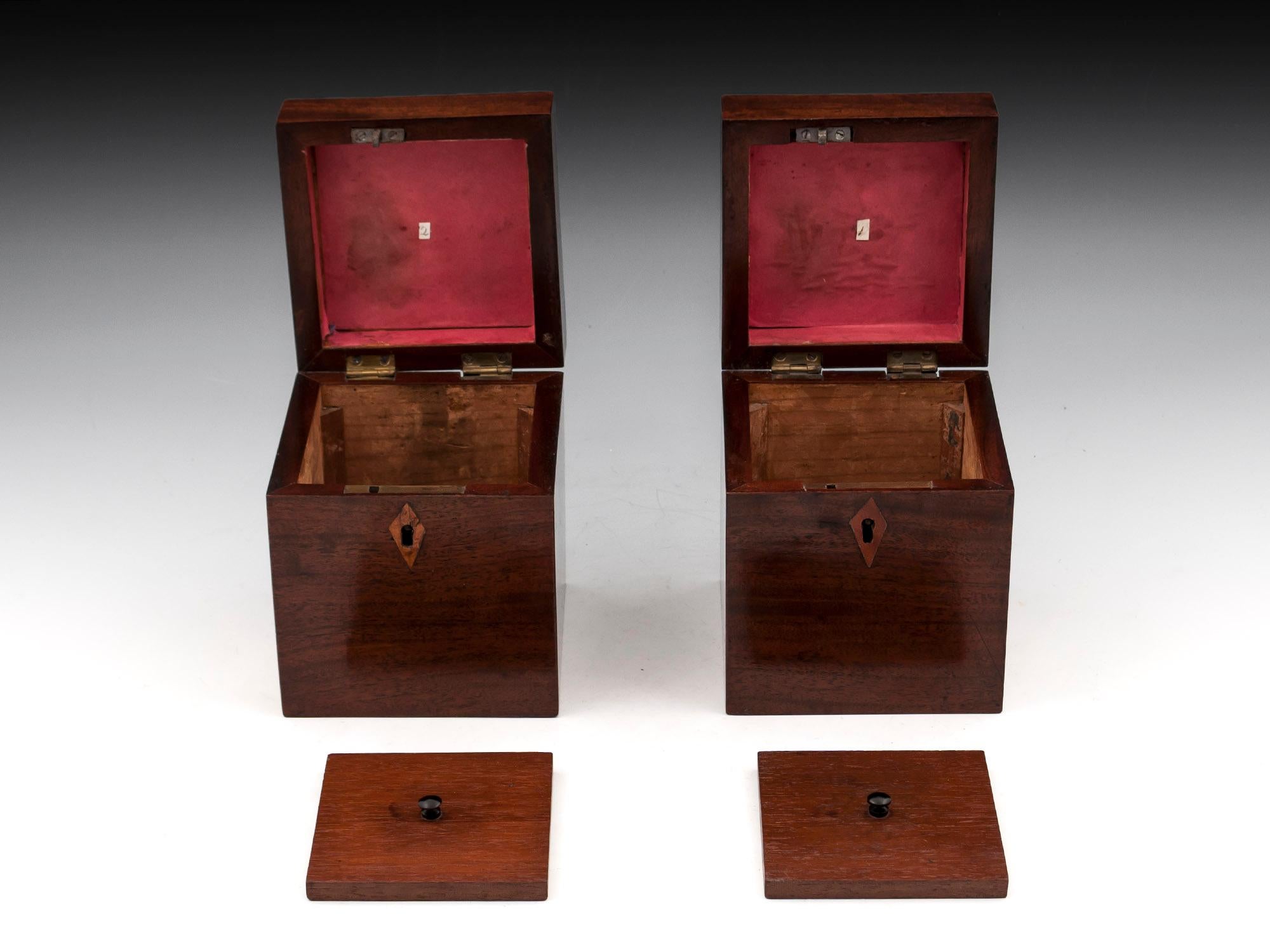 Brass Pair of Antique Georgian Mahogany Tea Caddies, 19th Century For Sale