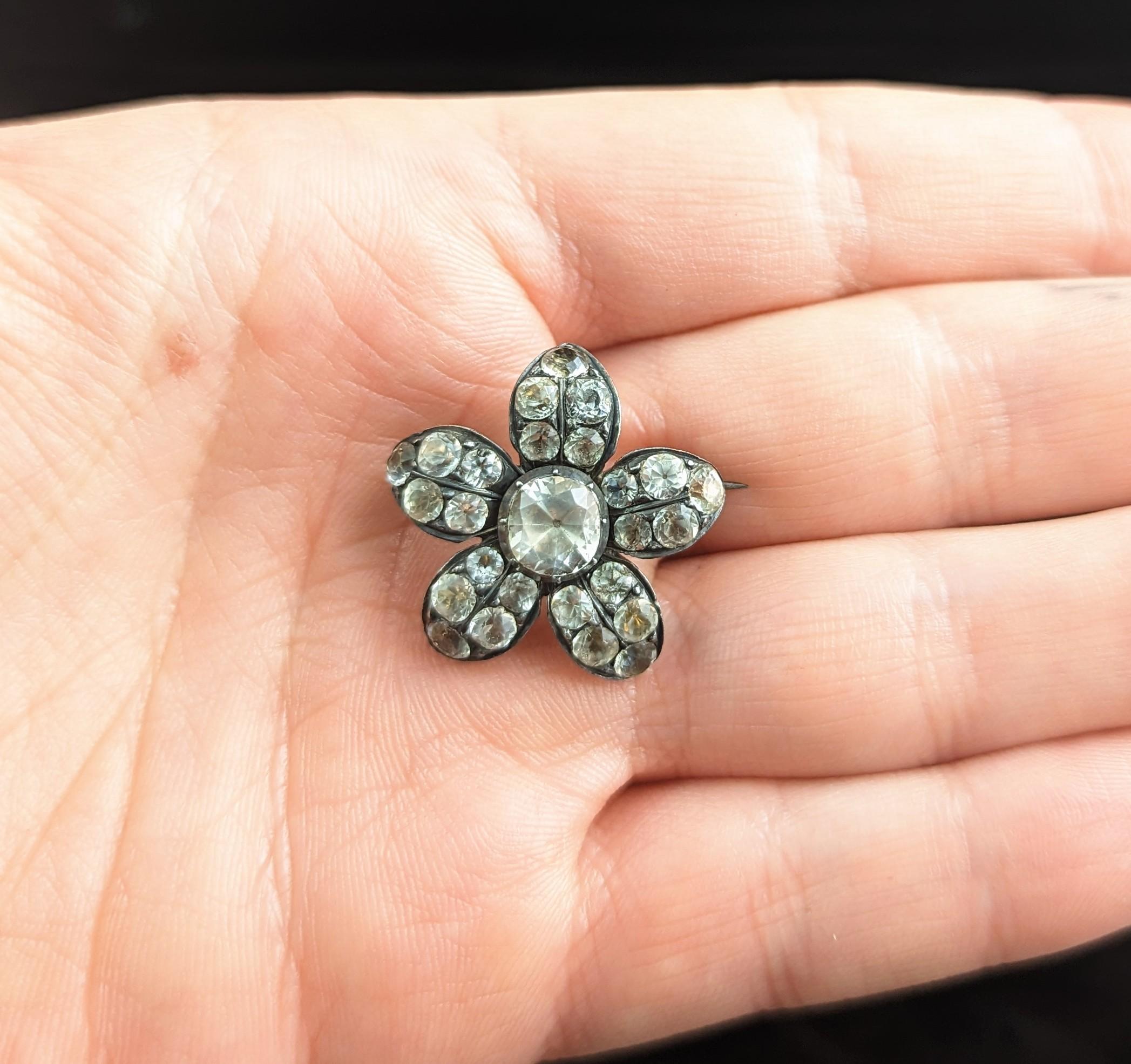 Antique Georgian Paste Lace Pin, Flower, Sterling Silver Brooch 7