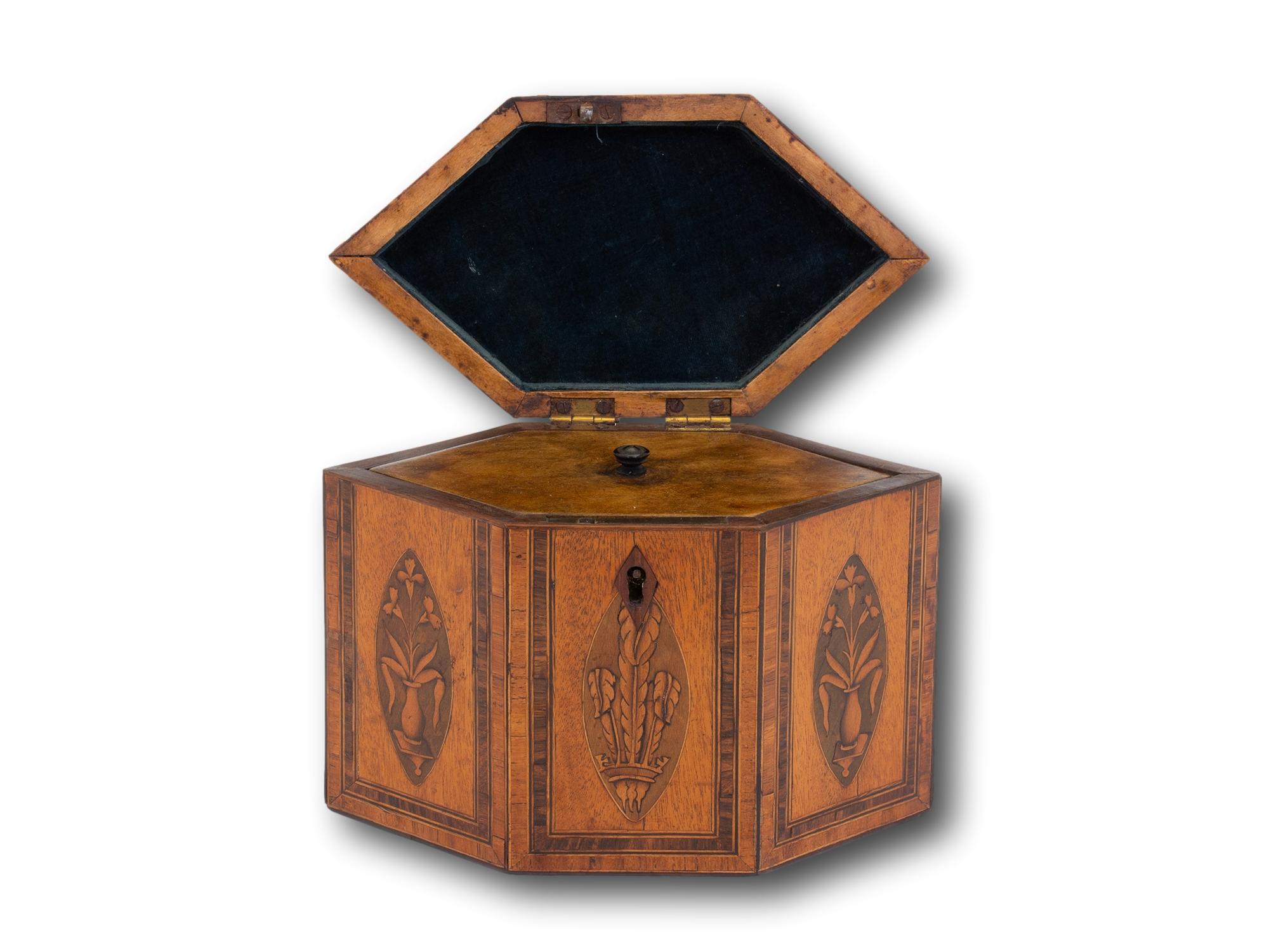 Antique Georgian Satinwood Tea Caddy with Prince of Wales Feathers For Sale 4
