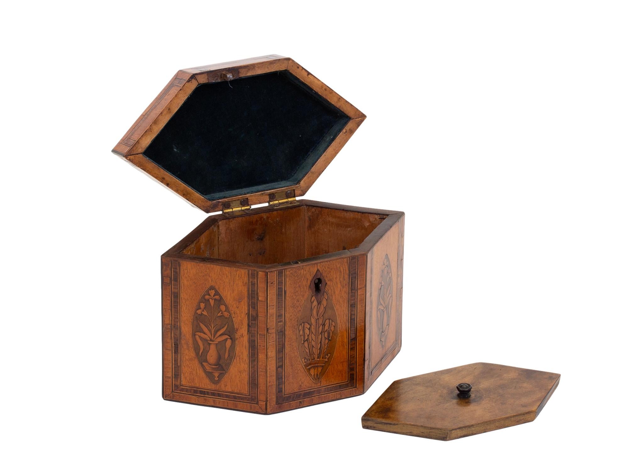 Antique Georgian Satinwood Tea Caddy with Prince of Wales Feathers For Sale 5
