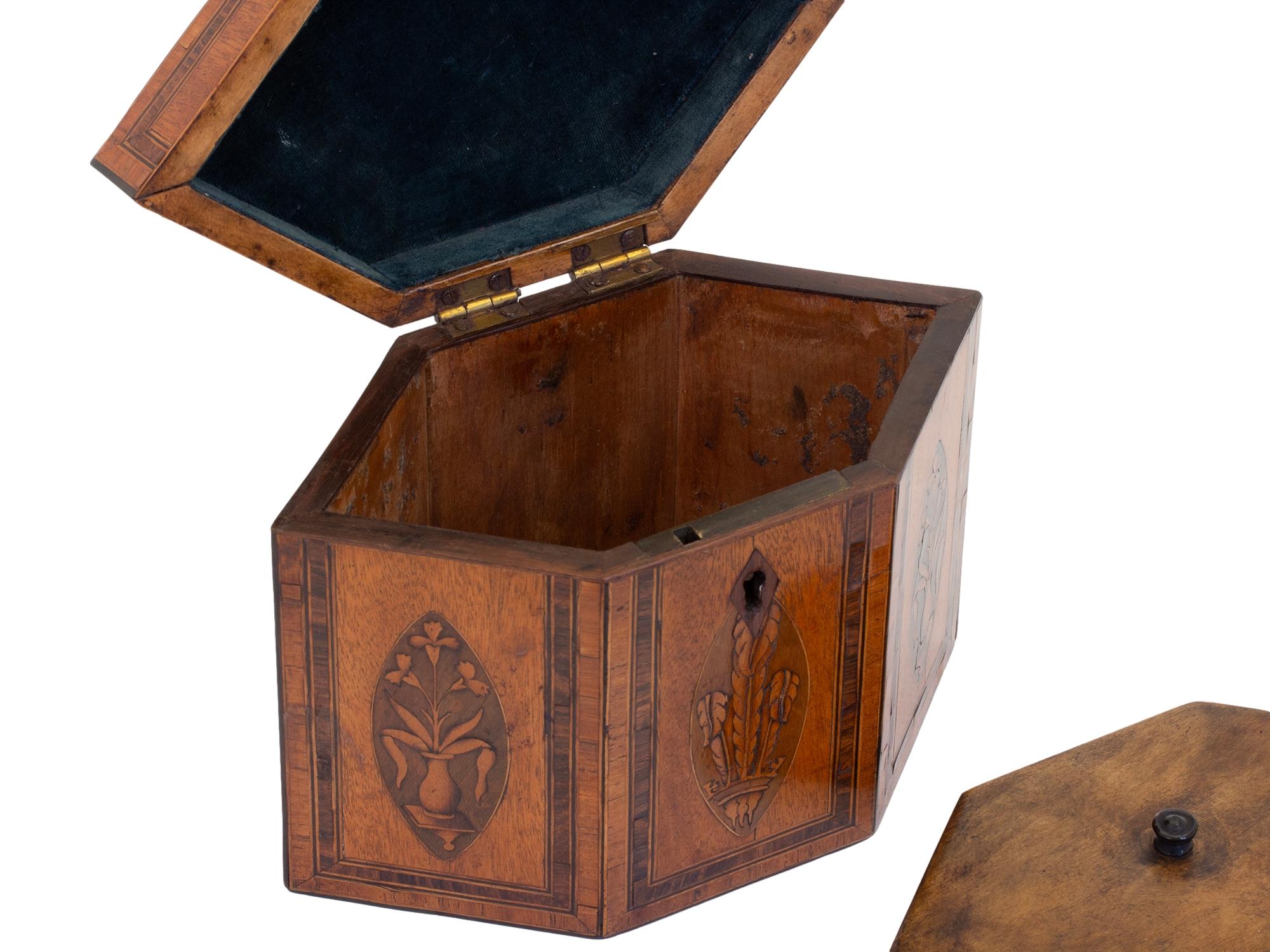 Antique Georgian Satinwood Tea Caddy with Prince of Wales Feathers For Sale 6