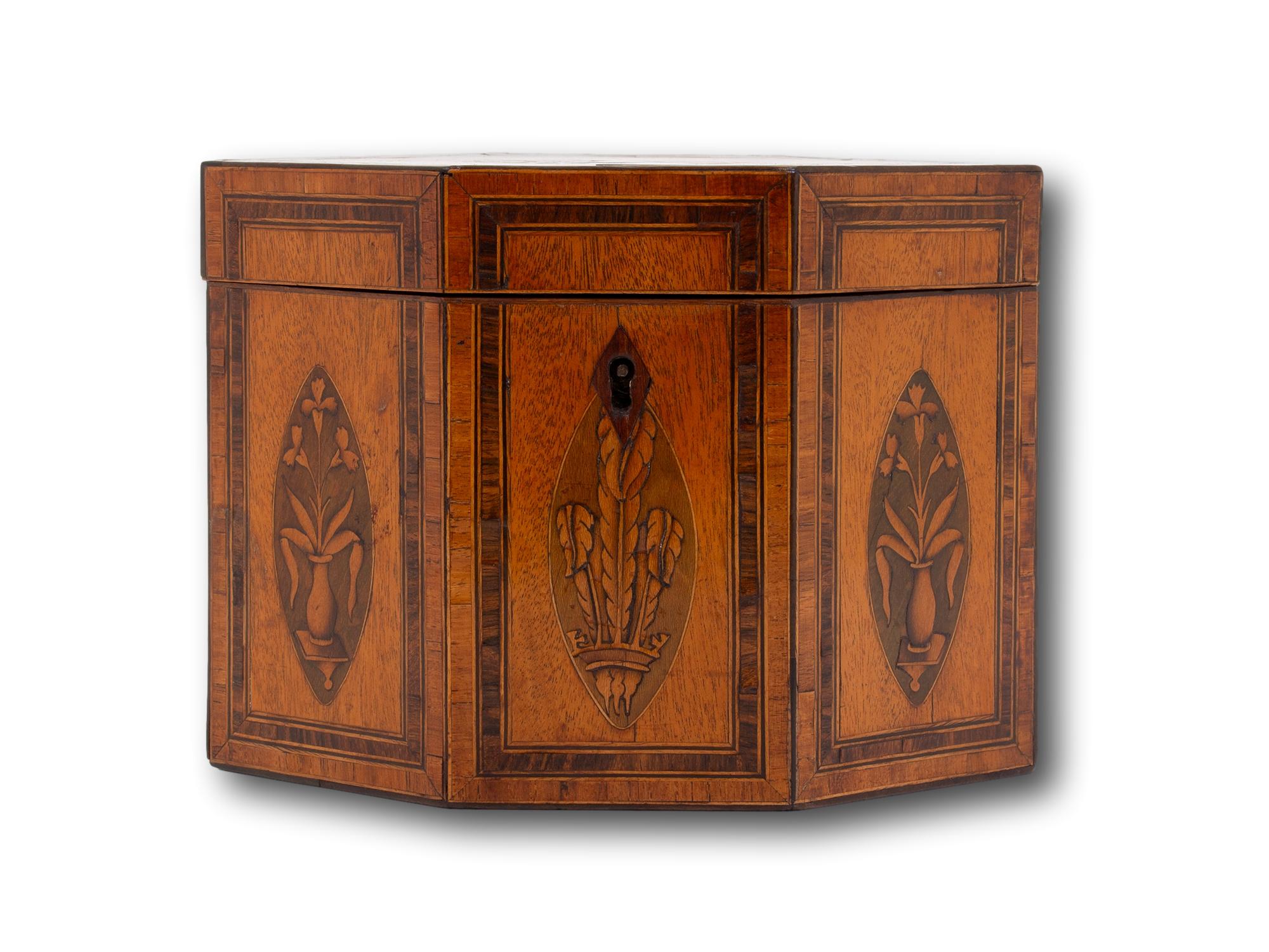 18th Century Antique Georgian Satinwood Tea Caddy with Prince of Wales Feathers For Sale