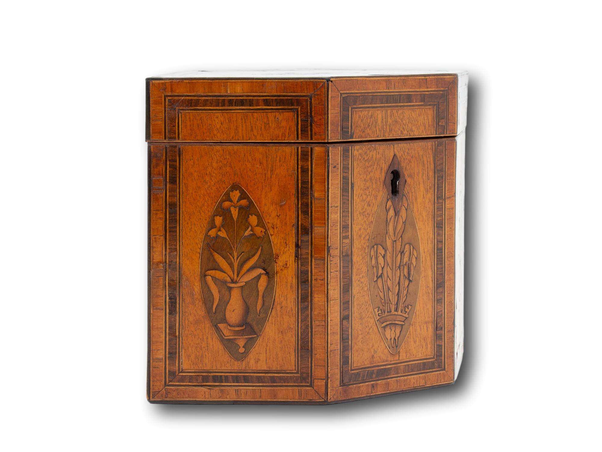 Antique Georgian Satinwood Tea Caddy with Prince of Wales Feathers For Sale 2