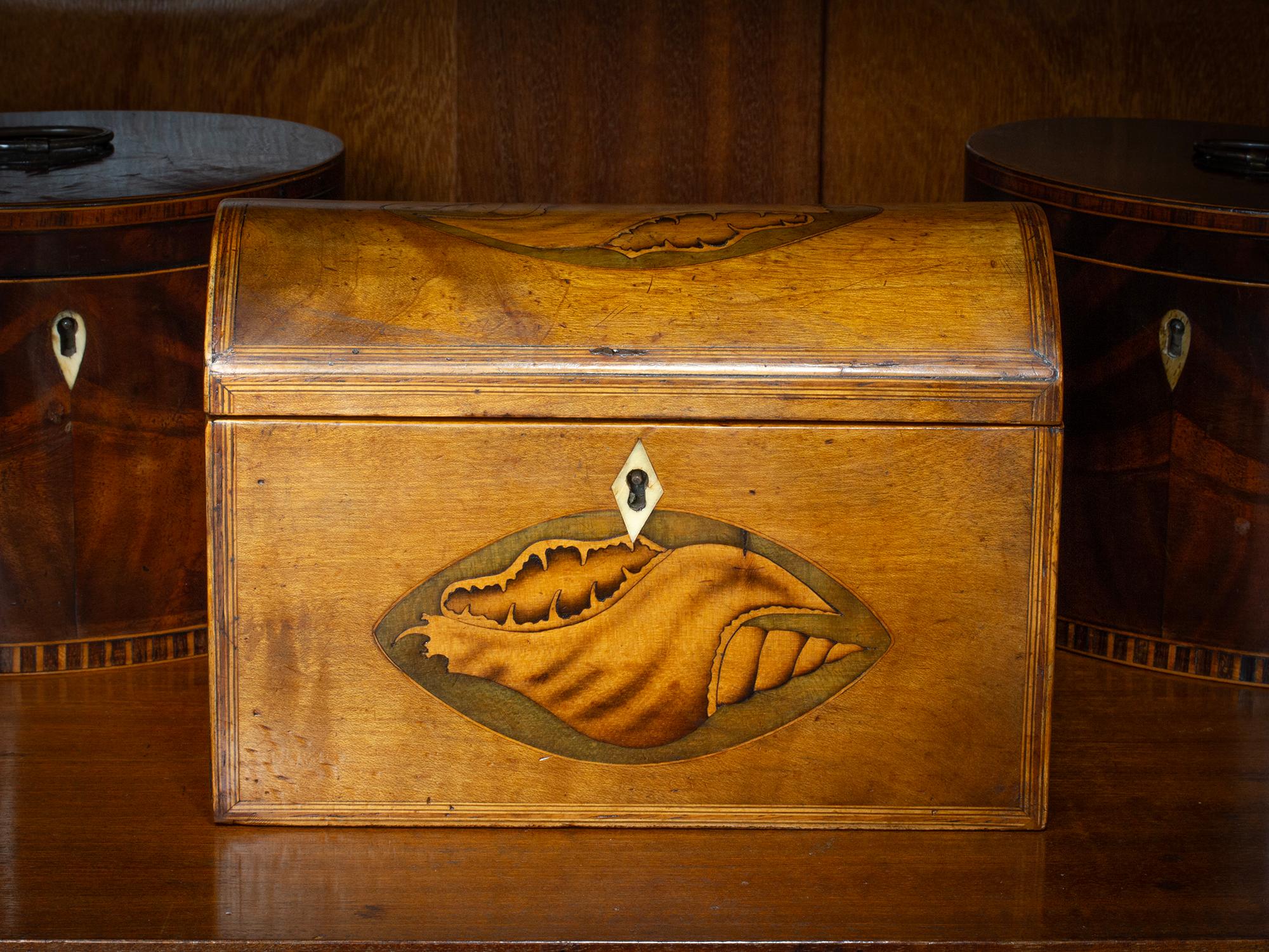 Coperchio bombato e intarsio di conchiglia

Dalla nostra Collection'S, siamo lieti di offrirti questo Antico Portatutto Harewood. Il Tea Caddy è di forma rettangolare con un bellissimo coperchio a cupola impiallacciato in Harewood e bordato in