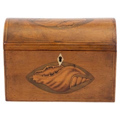 Antique Georgian Shell Inlaid Harewood Tea Caddy