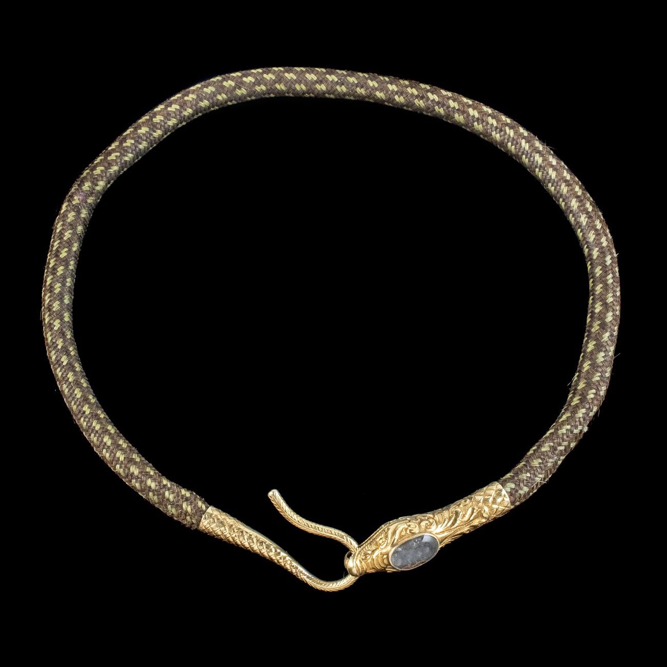 An exquisite antique Georgian snake collar from the early 19th Century made up of three different shades of brown hair plaited beautifully to create one thick band.

The piece is finished with a fabulous 18ct gold snake head and tail which forms a