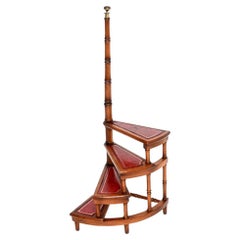 Steps de bibliothèque antiques de style géorgien