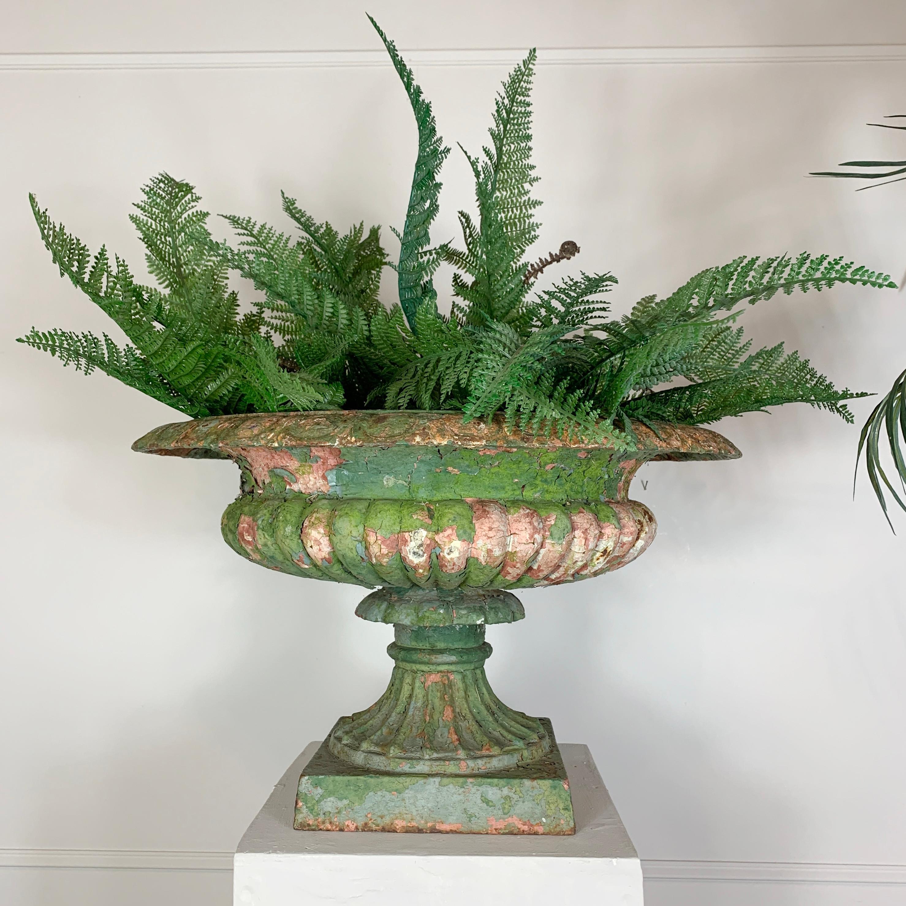 A quite exceptional Georgian 'Tazza' Urn, in superb original condition, layers of two centuries of paint and moss give the Urn the most fantastic colour and patina. Dating to circa 1810, this is a wonderfully proportioned piece of very usable