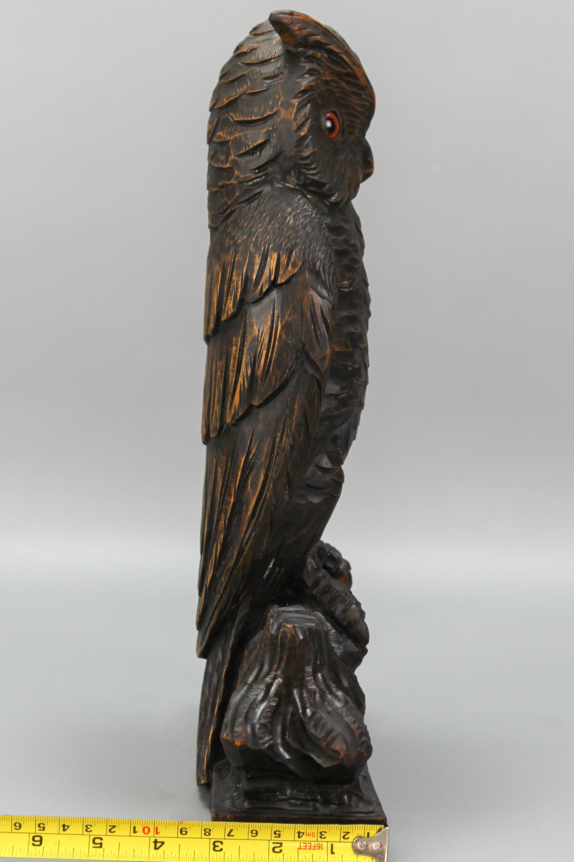 Ancienne sculpture allemande de style Black Forest, hibou sculpté avec des yeux en verre, vers 1920 en vente 5