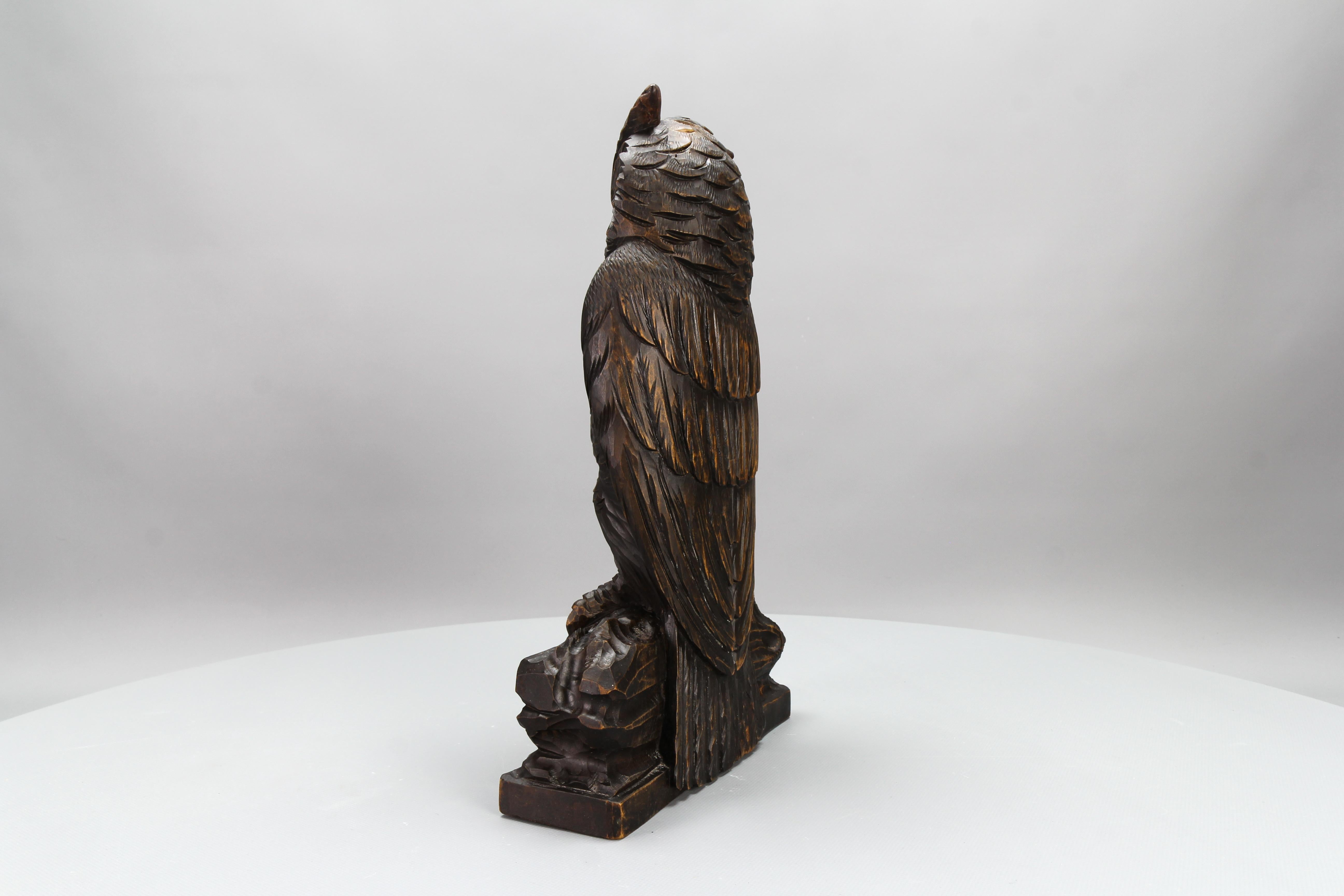Antike deutsche Black Forest Eulenskulptur mit Glasaugen, ca. 1920 (Holz) im Angebot