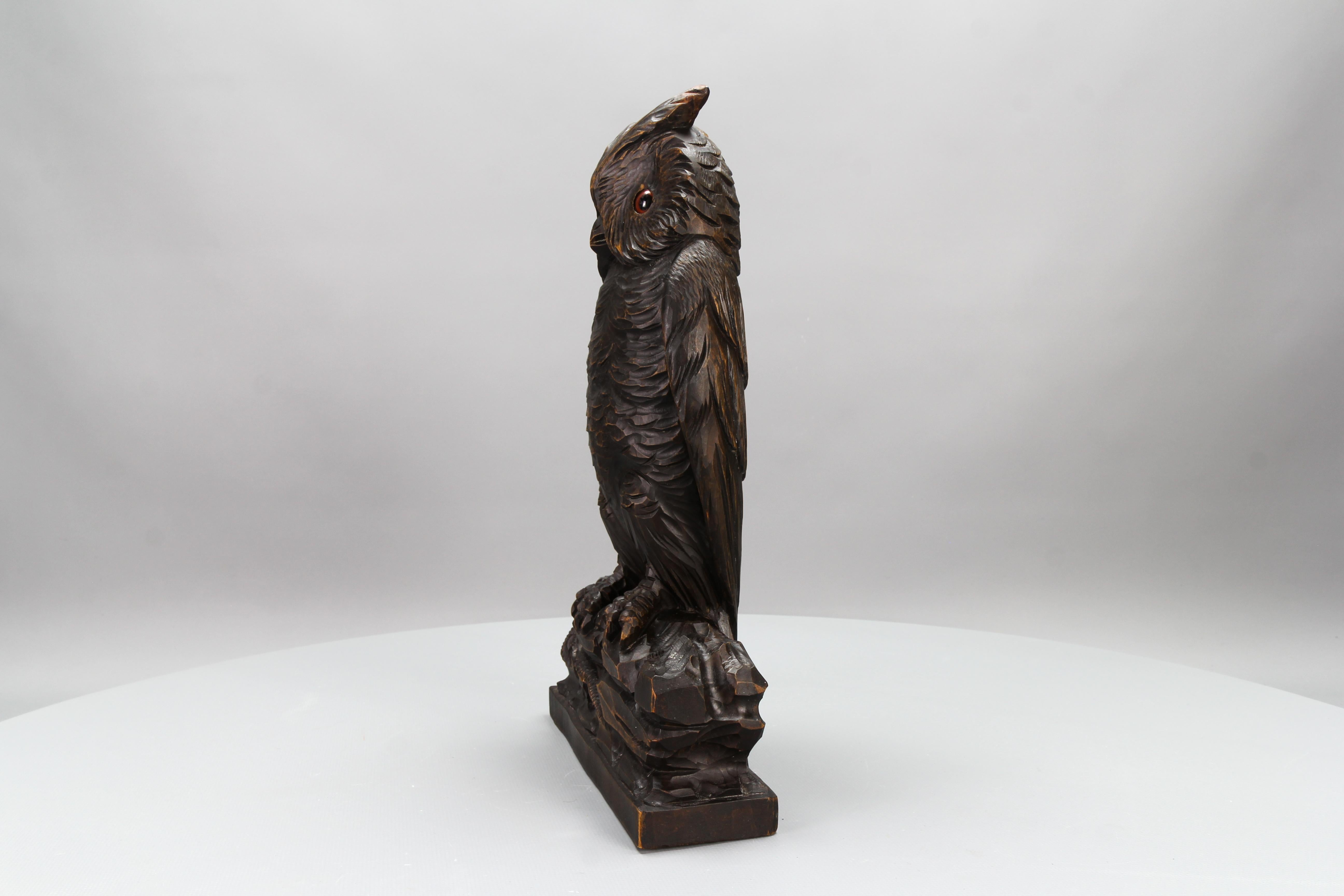 Antike deutsche Black Forest Eulenskulptur mit Glasaugen, ca. 1920 im Angebot 1