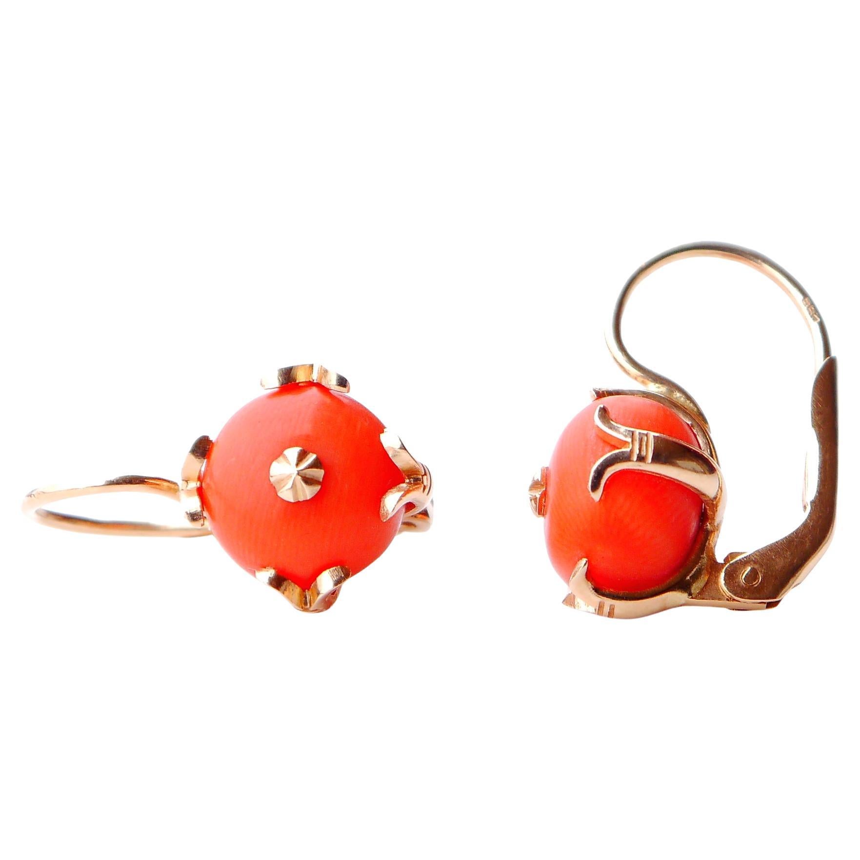 Antique German Earrings 18 ct natural Red Coral solid 14K Yellow Gold / 8gr
