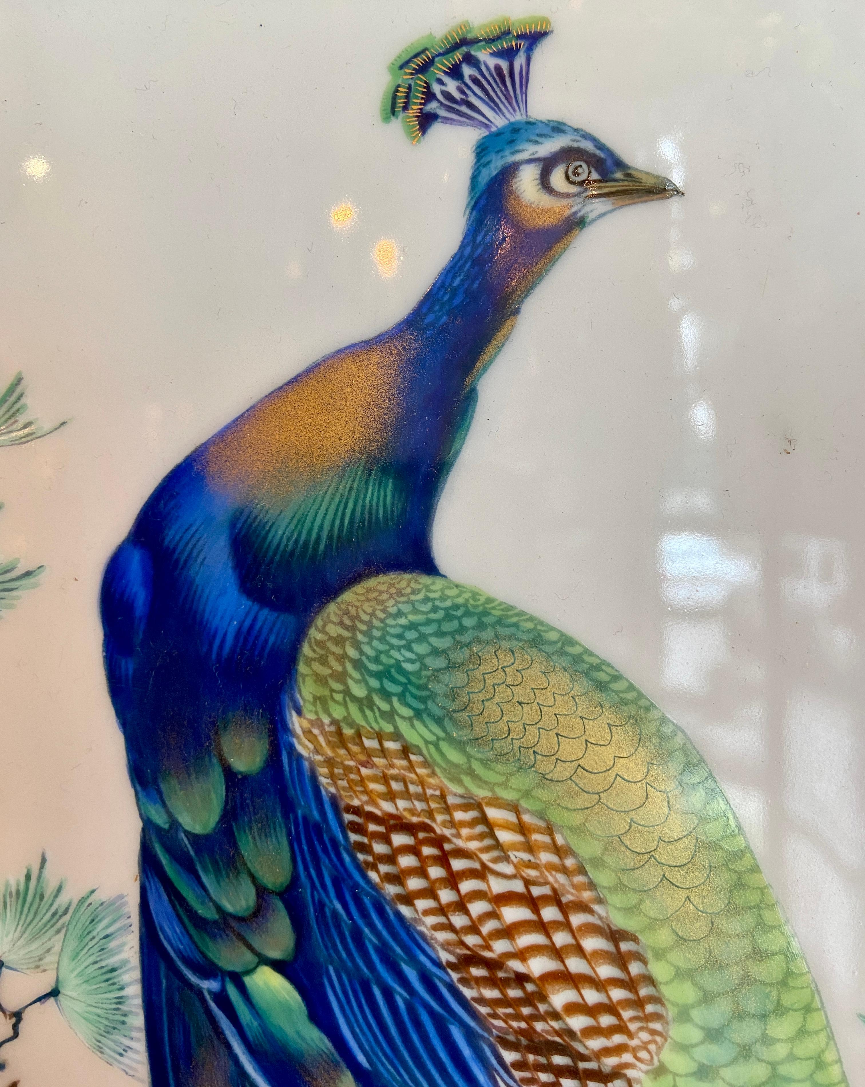 20th Century Antique German Framed Porcelain Plaque with Peacock, circa 1910-1920