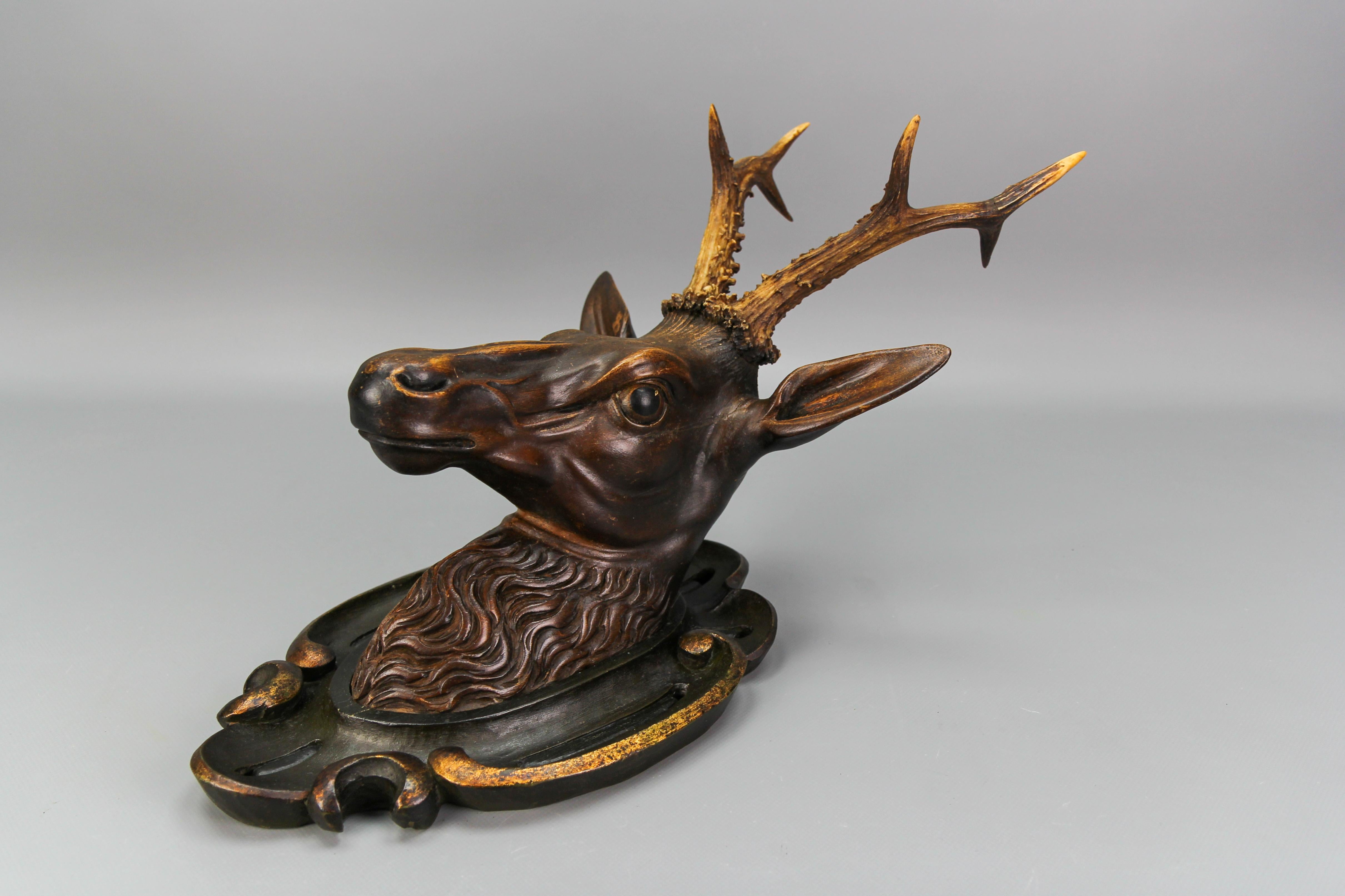 Antique German Hand Carved Wooden Deer Head on Carved Wall Plaque, 19th Century For Sale 2