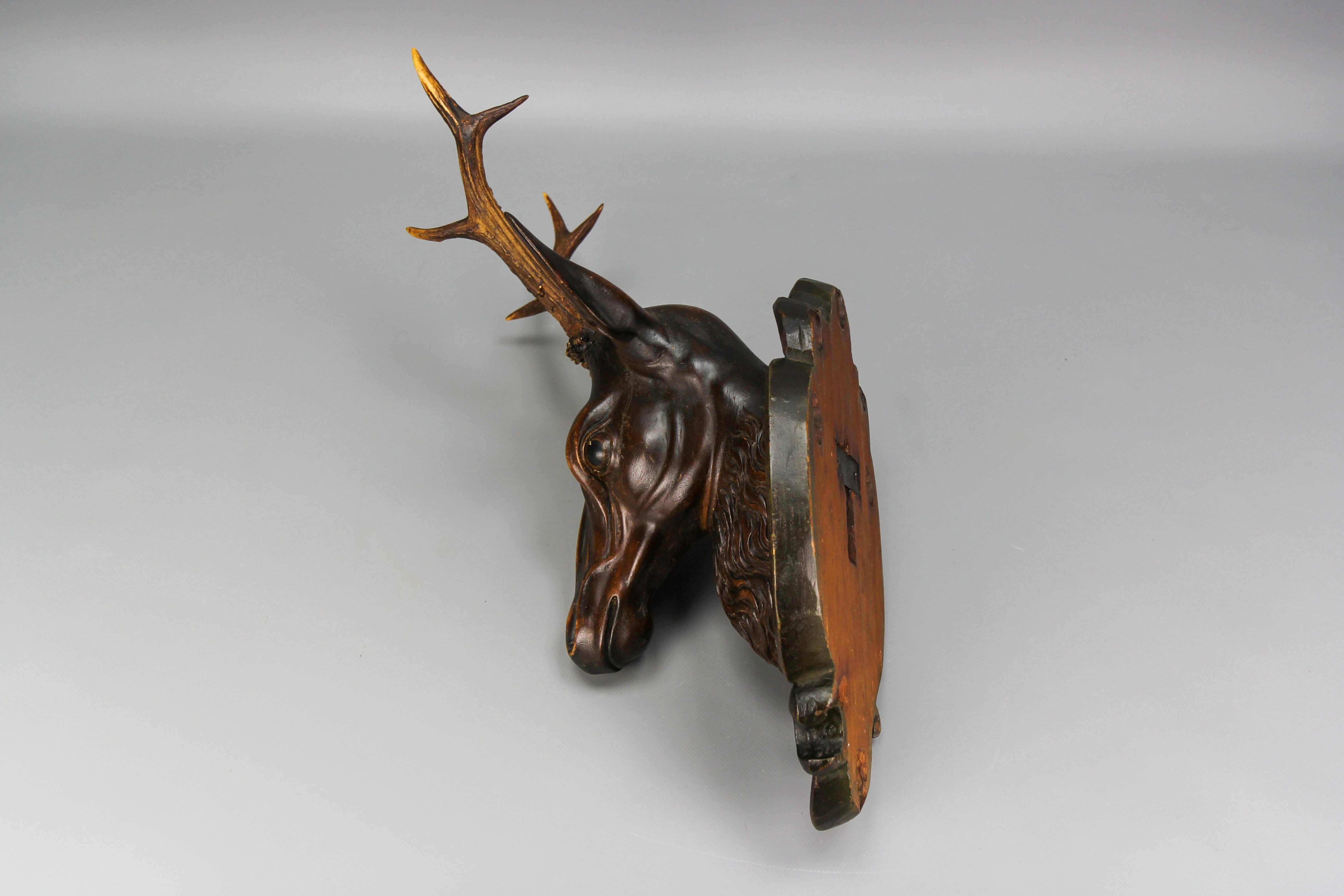Antique German Hand Carved Wooden Deer Head on Carved Wall Plaque, 19th Century For Sale 8