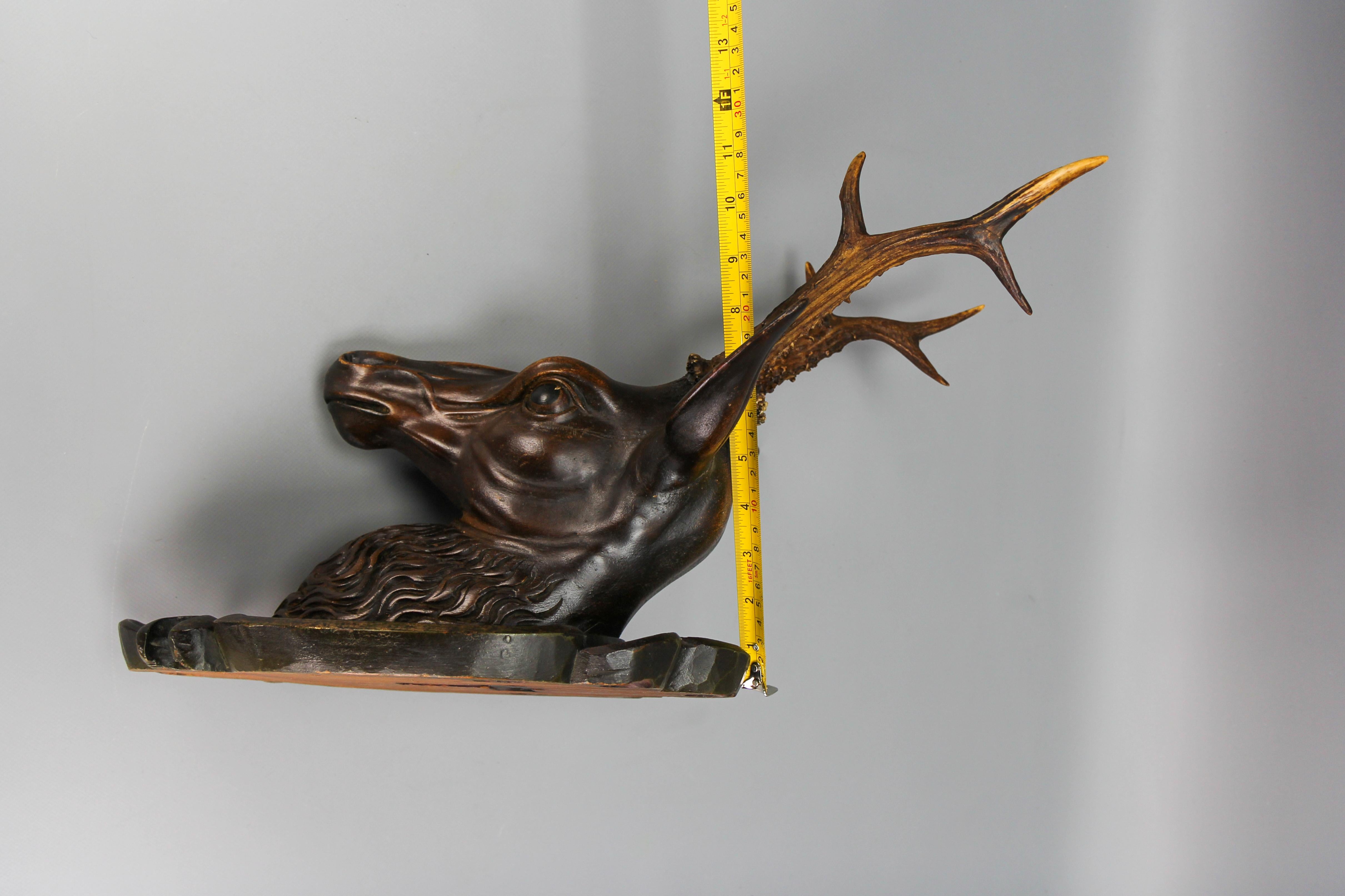 Antique German Hand Carved Wooden Deer Head on Carved Wall Plaque, 19th Century For Sale 11