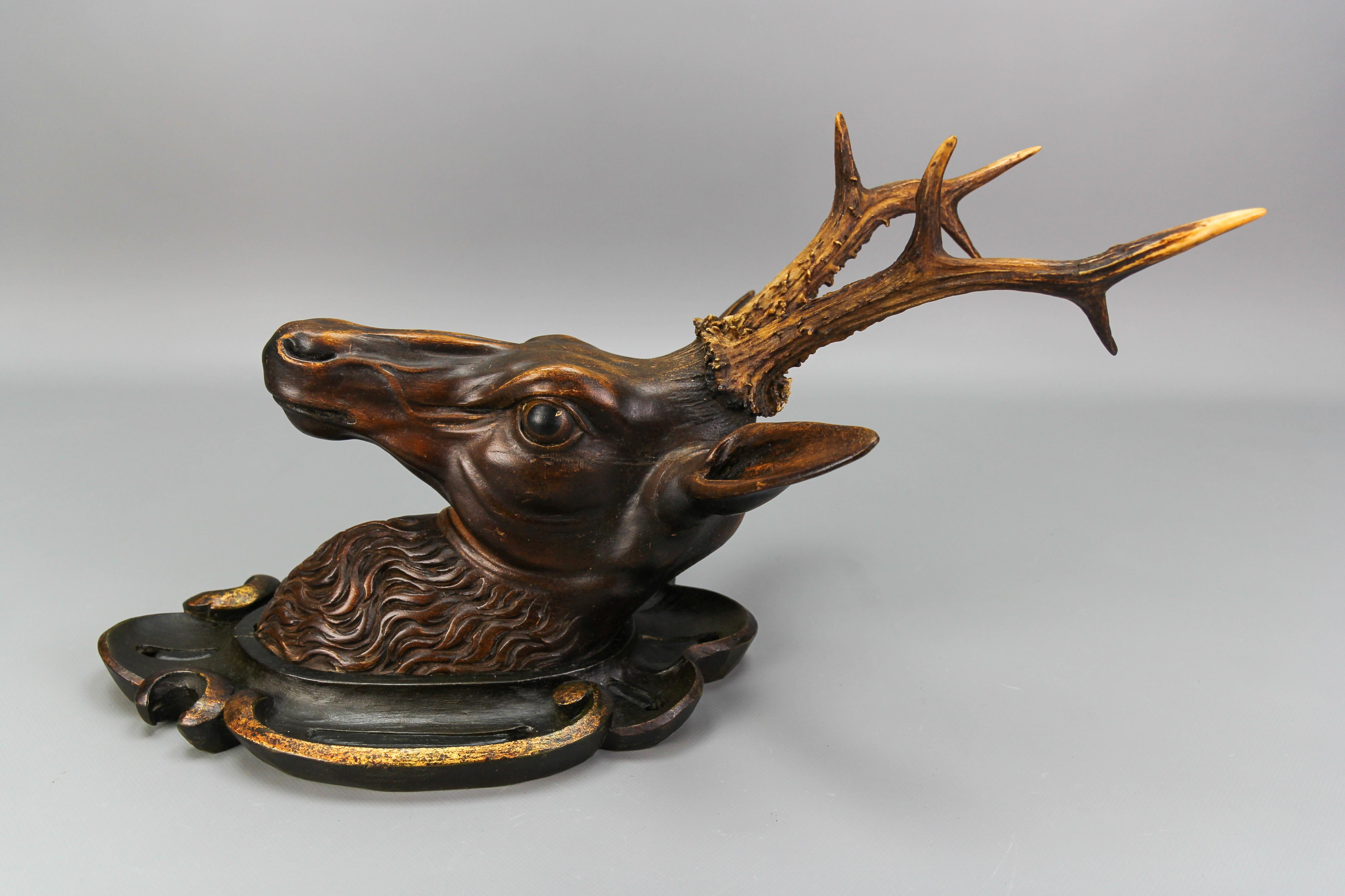 Antique German Hand Carved Wooden Deer Head on Carved Wall Plaque, 19th Century For Sale 1