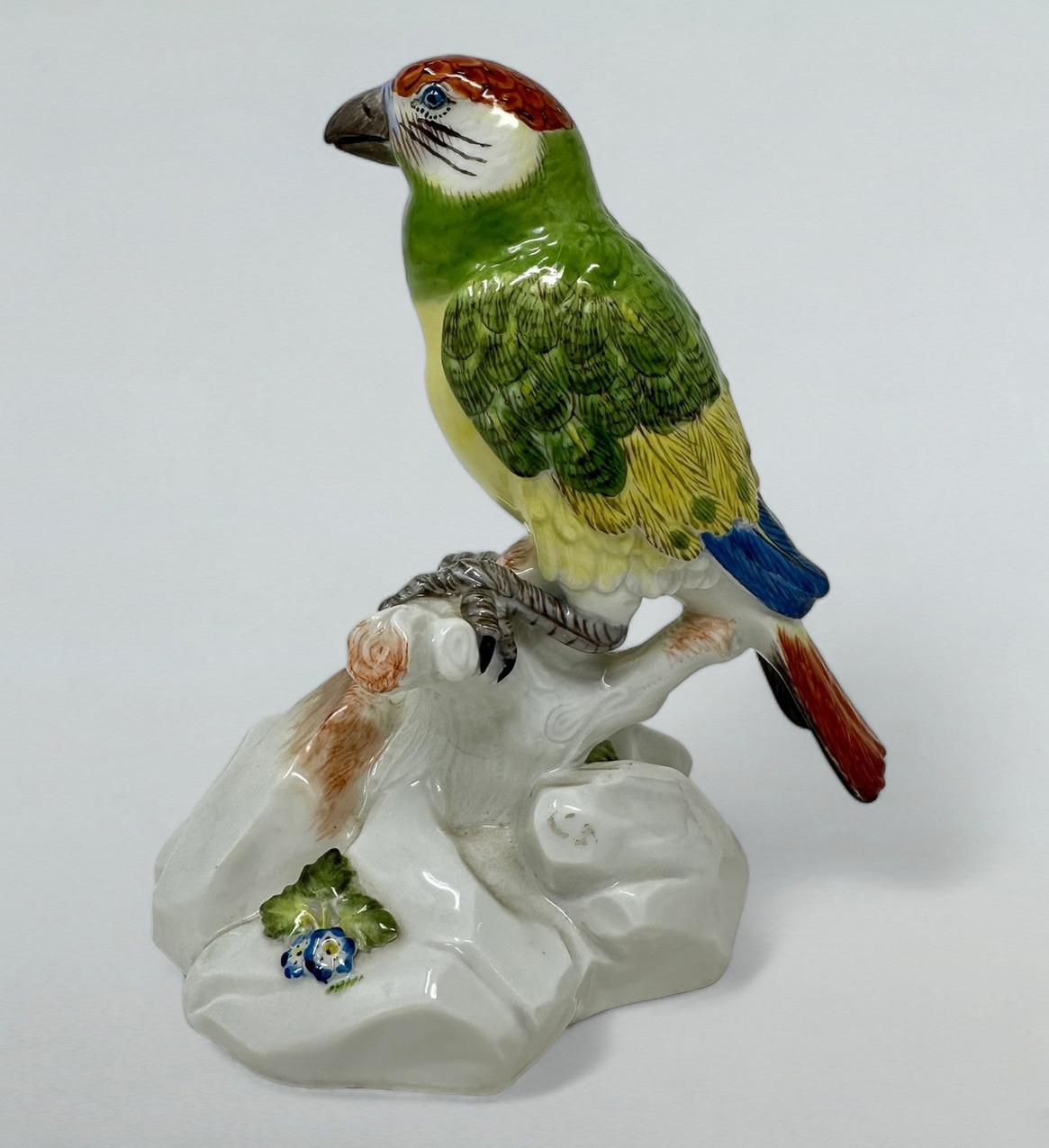 Allemand Antique porcelaine continentale allemande de Meissen perroquet vert oiseau dorée 19ème siècle en vente