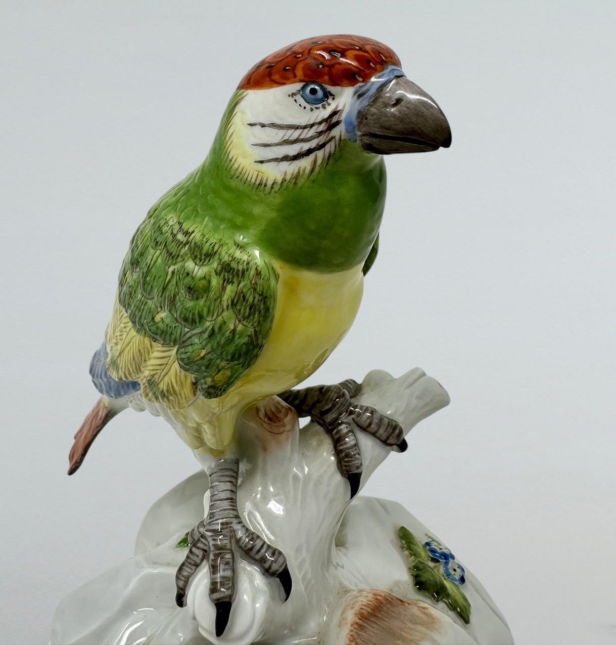 XIXe siècle Antique porcelaine continentale allemande de Meissen perroquet vert oiseau dorée 19ème siècle en vente