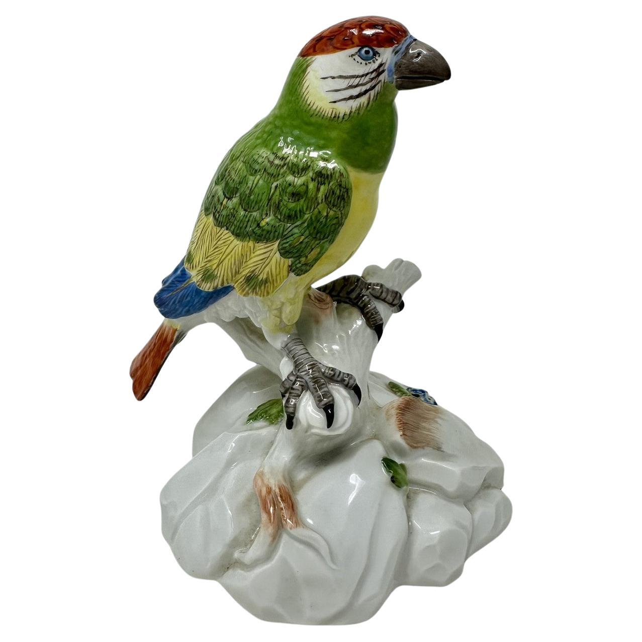 Antique porcelaine continentale allemande de Meissen perroquet vert oiseau dorée 19ème siècle en vente