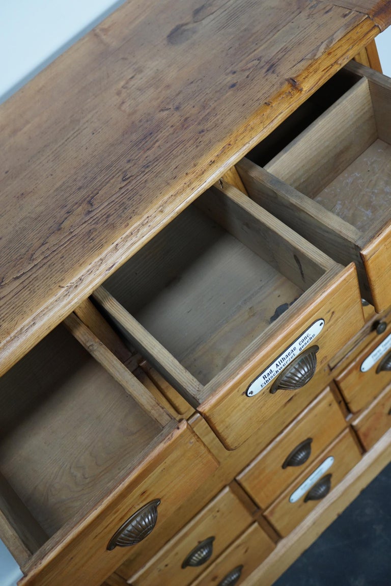 Antique German Pine Apothecary with Enamel Shields, 1900s For