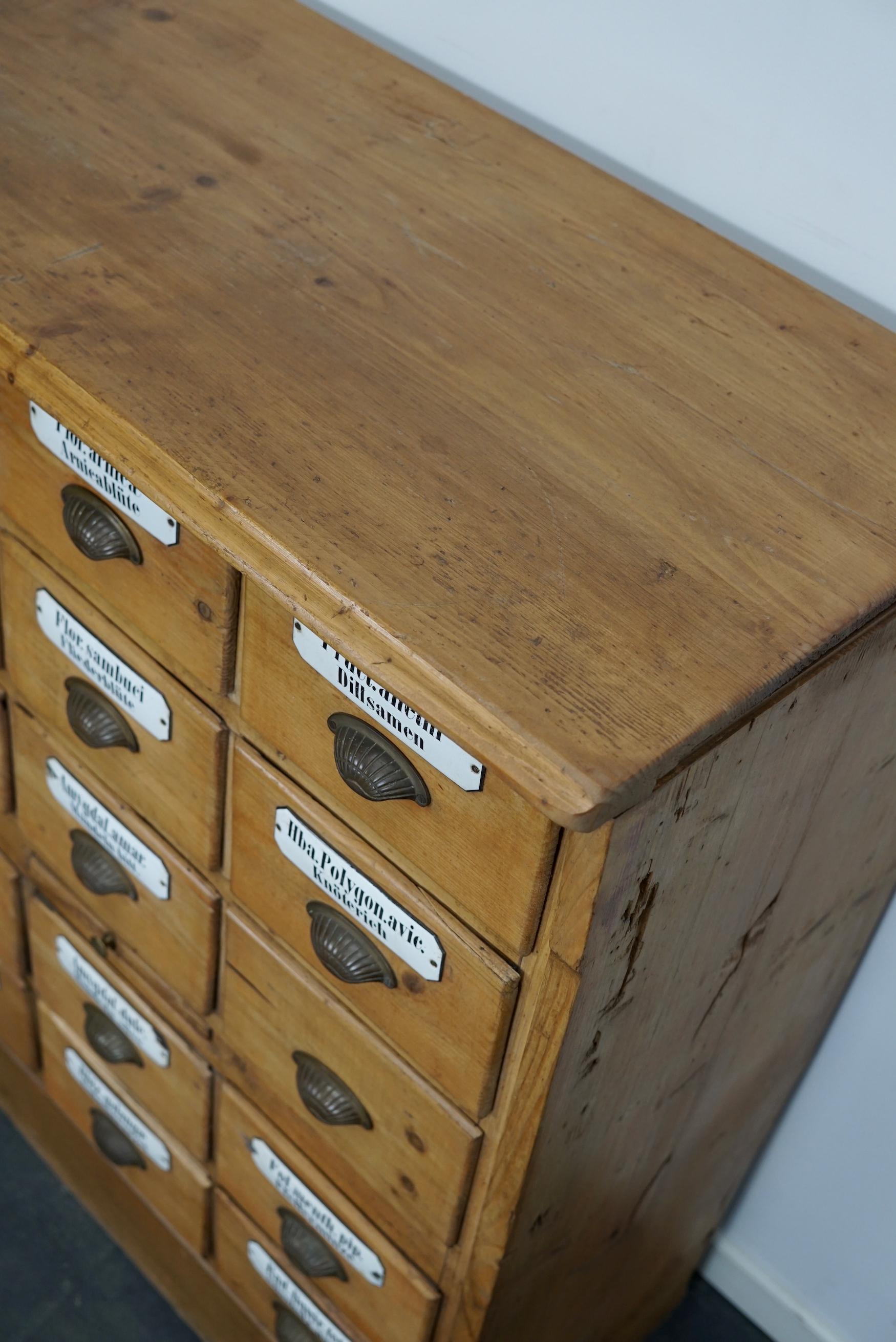 Antique German Pine Apothecary with Enamel Shields, 1900s at