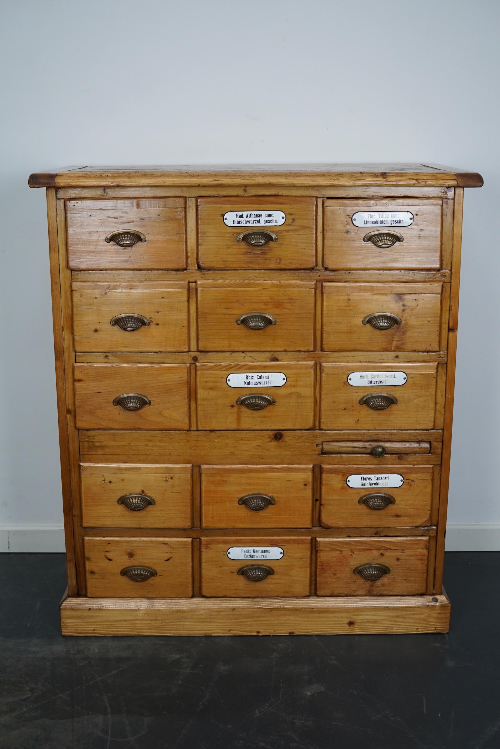 Antique German Pine Apothecary Cabinet with Enamel Shields, 1900s 8