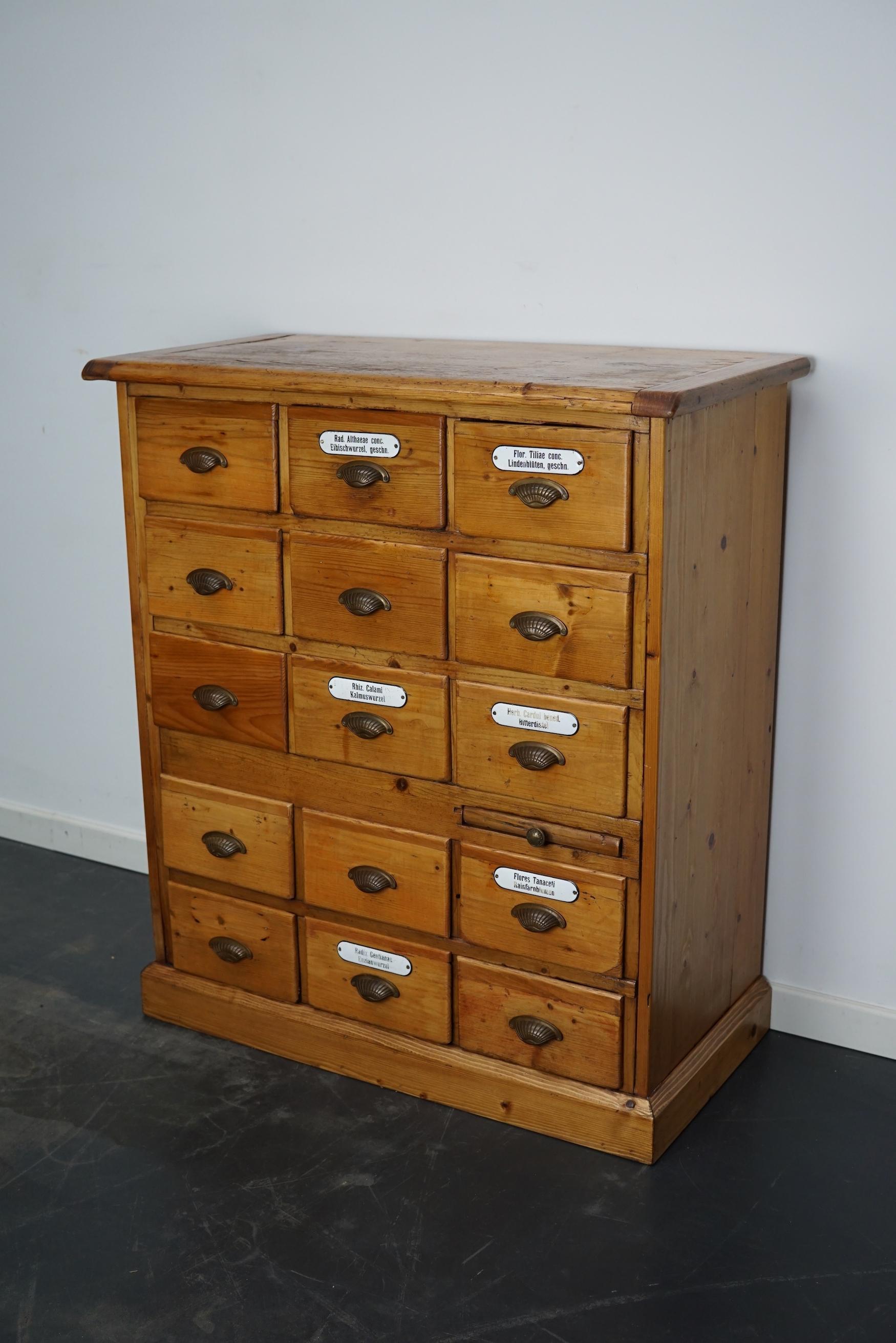 Antique German Pine Apothecary Cabinet with Enamel Shields, 1900s In Good Condition In Nijmegen, NL
