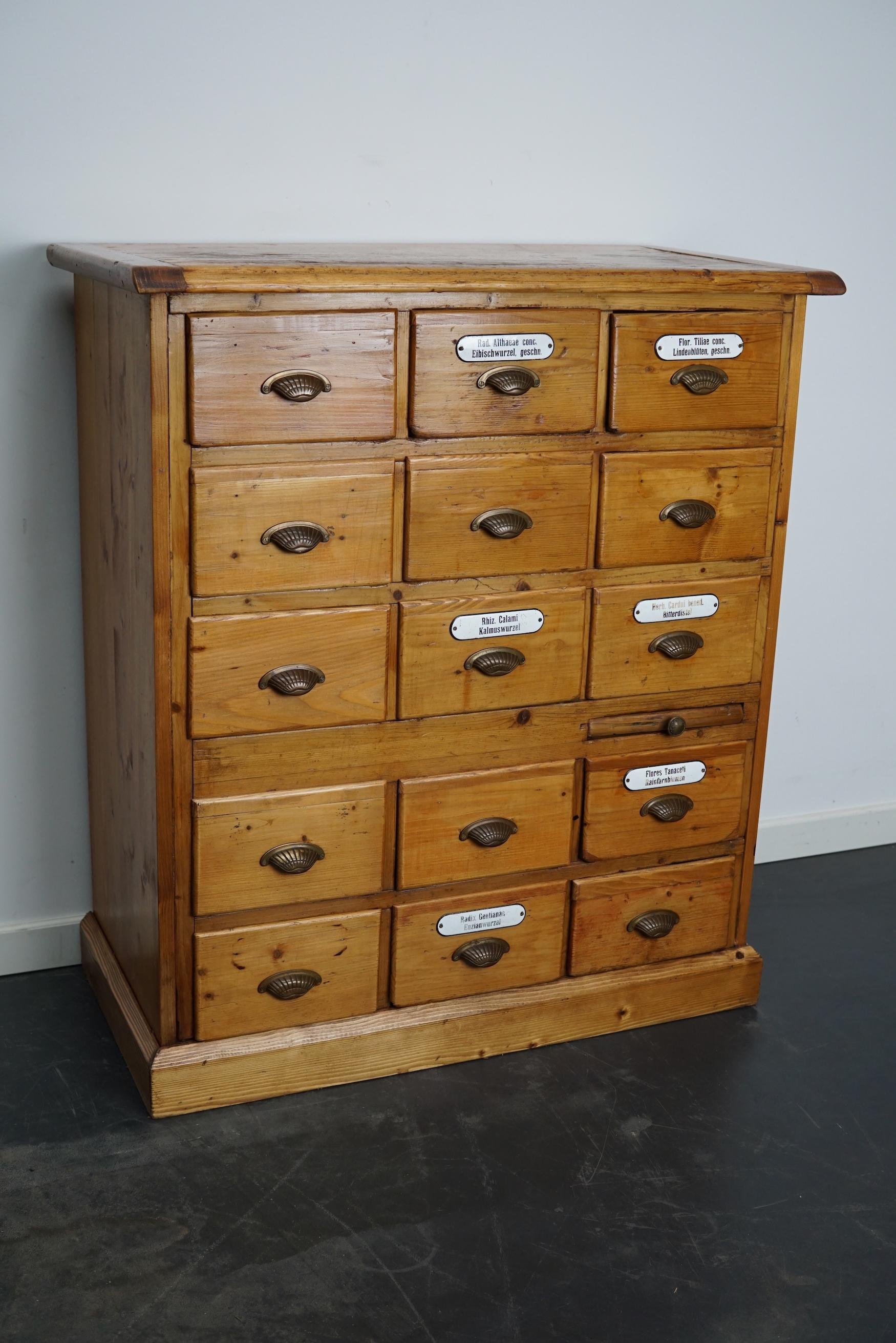 Antique German Pine Apothecary Cabinet with Enamel Shields, 1900s 1