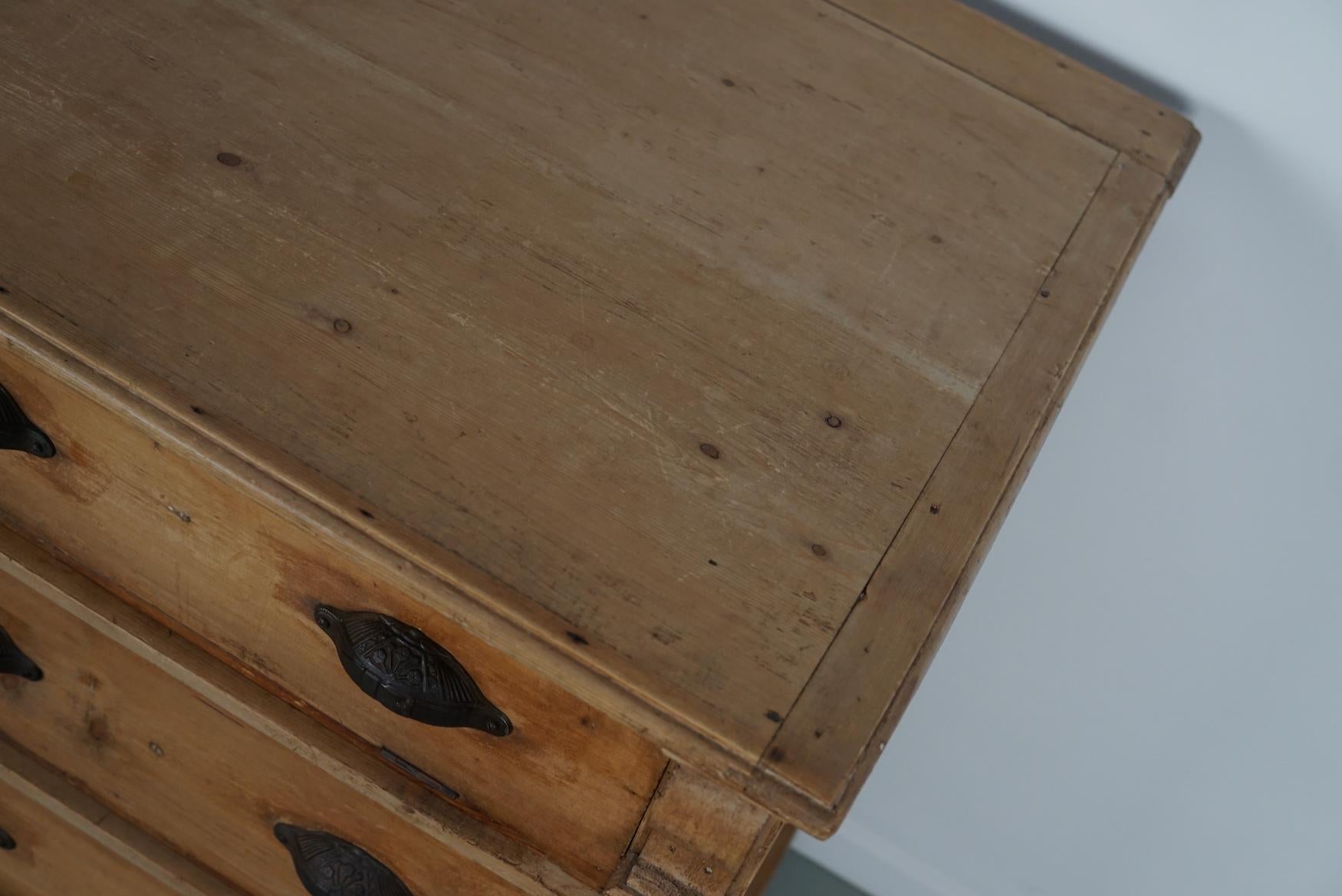 Antique German Pine Shop Cabinet, Early 20th Century in vendita 4