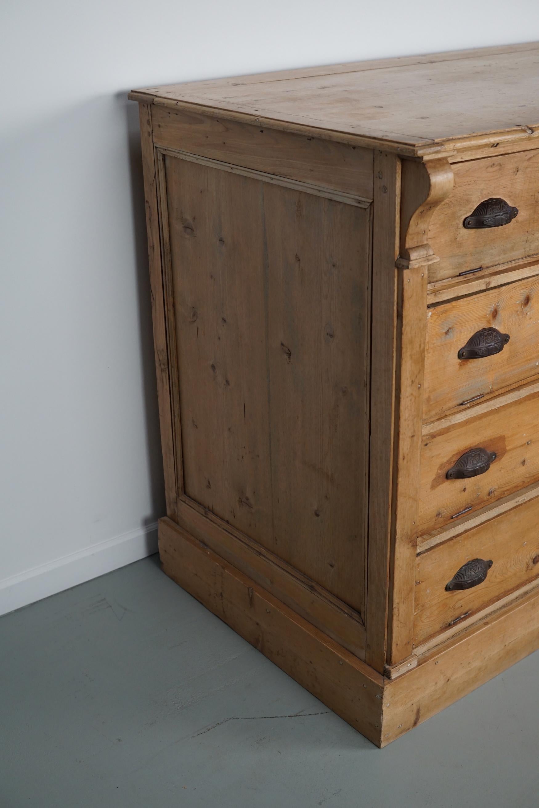 Antique German Pine Shop Cabinet, Early 20th Century in vendita 7