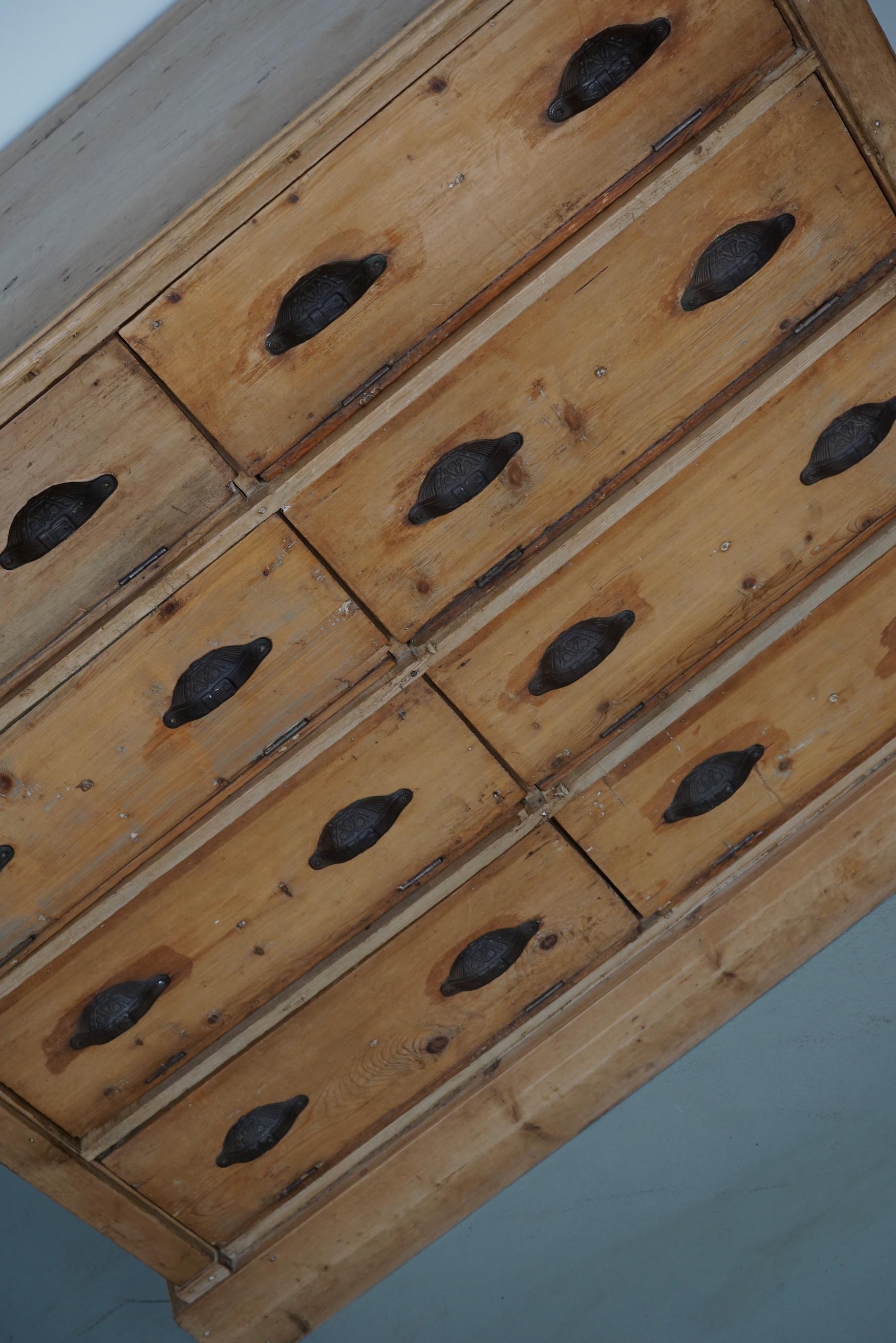 Pino Antique German Pine Shop Cabinet, Early 20th Century in vendita