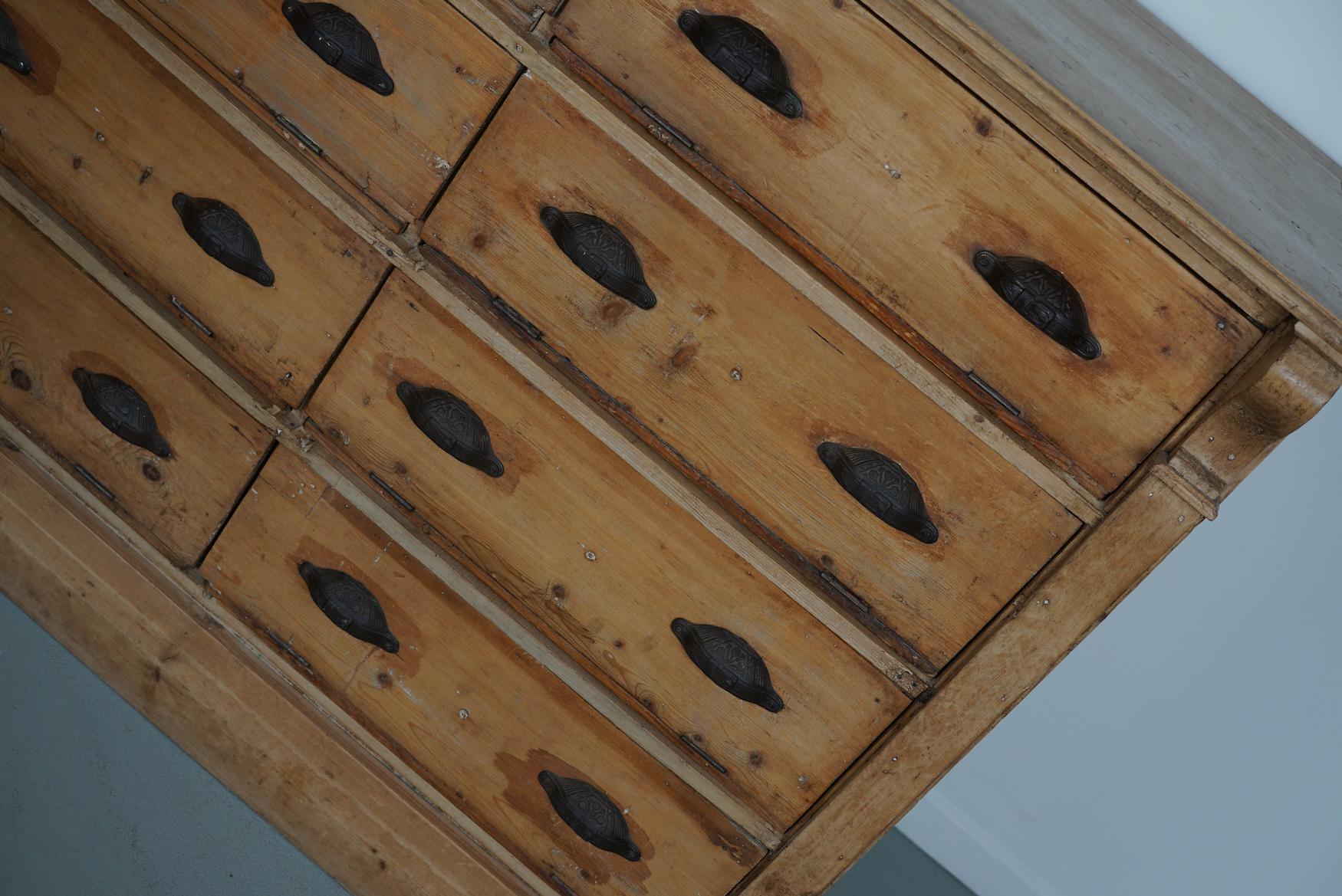 Antique German Pine Shop Cabinet, Early 20th Century in vendita 1