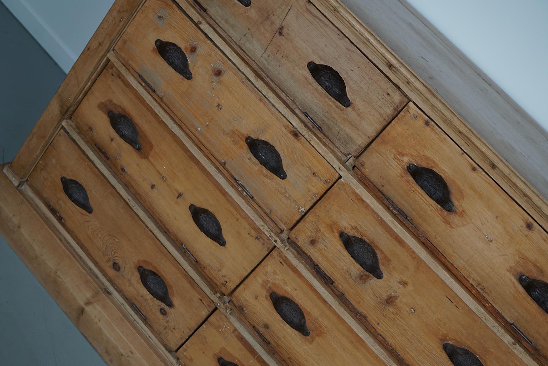 Antique German Pine Shop Cabinet, Early 20th Century in vendita 2