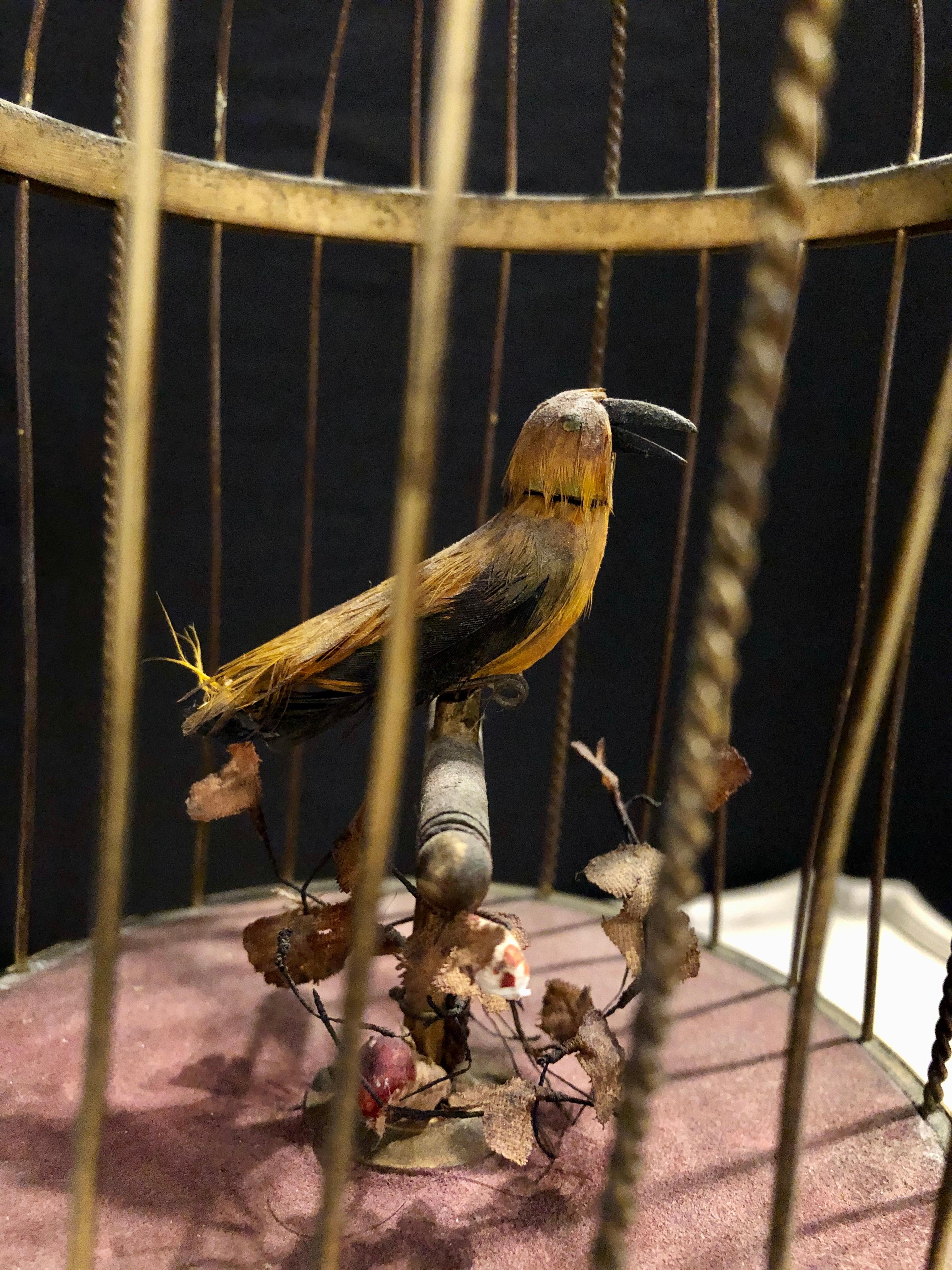 20th Century Antique German Singing Bird Music Box Marked Underside K.G Karl