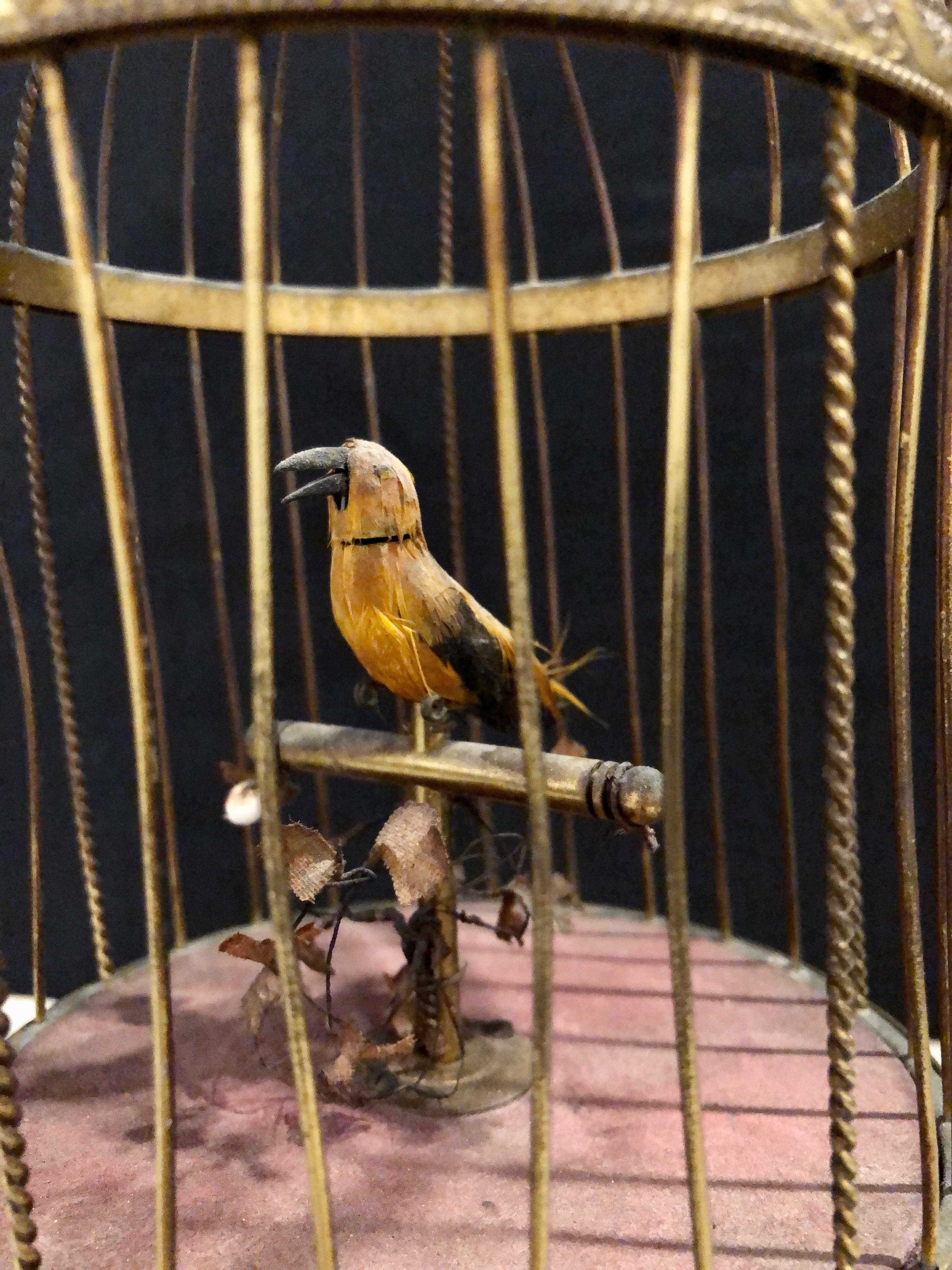 Brass Antique German Singing Bird Music Box Marked Underside K.G Karl