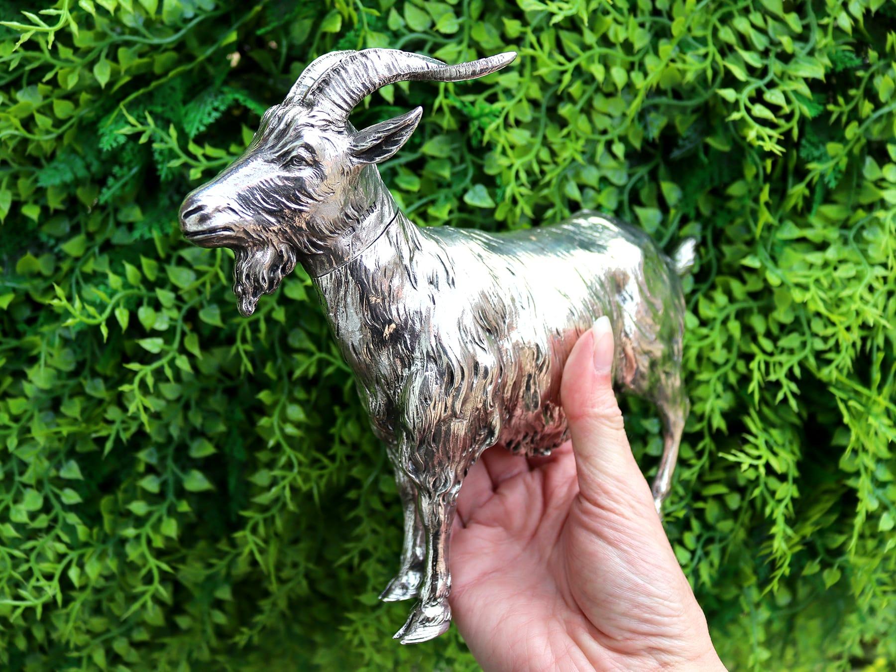 An exceptional, fine and impressive, large and rare antique cast German sterling silver goat sugar box/ table ornament; part of our continental ornamental silverware collection.

This exceptional, fine and impressive antique cast sterling silver