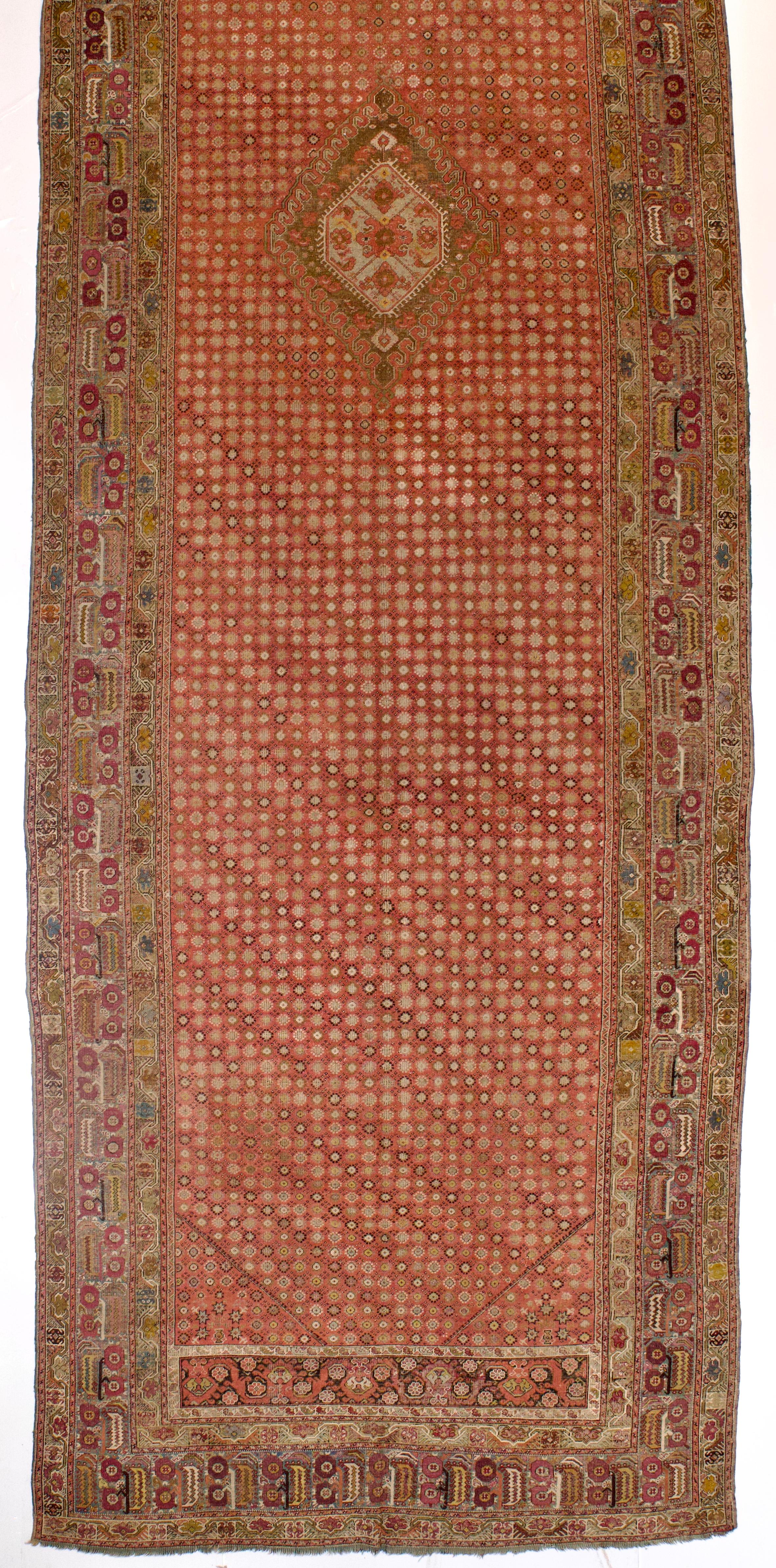 Antique Ghiordes Long Rug 6'7