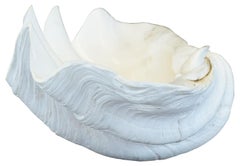 Antique Giant Clam Shell Seashell Bowl Compote Tridacna Gigas Ocean Nautical