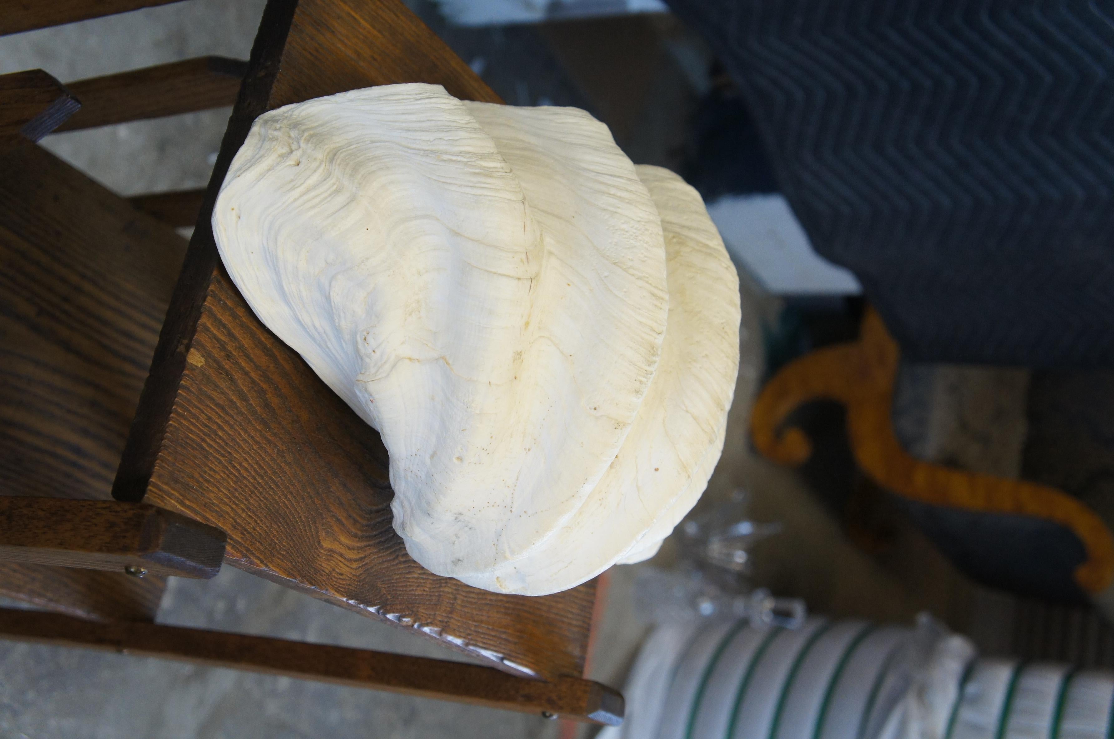 Antique Giant Clam Shell Seashell Bowl Compote Tridacna Gigas Ocean Nautical In Good Condition In Dayton, OH