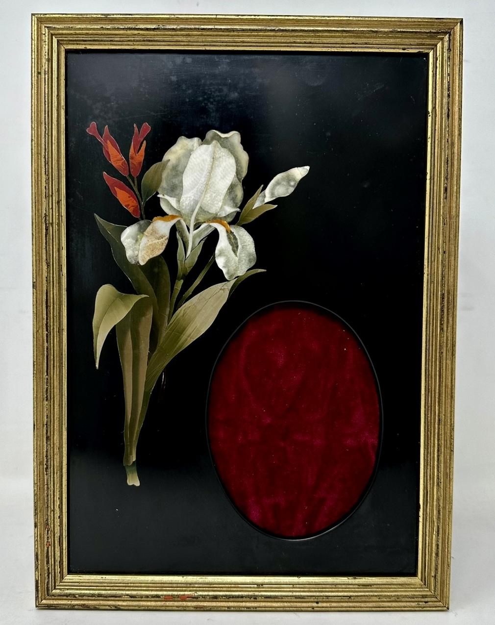 A Superb Pietra Dura Highly Decorative Hanging Photograph Frame within a reeded giltwood surround, of exceptional quality and Italian origin, early to mid-Nineteenth Century. 

Finely inlaid with a single upright flowering Iris in colours of white