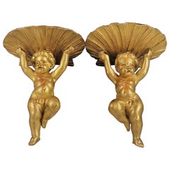 Antique Giltwood Cherub and Clamshell Wall Shelves, 19th Century Pair