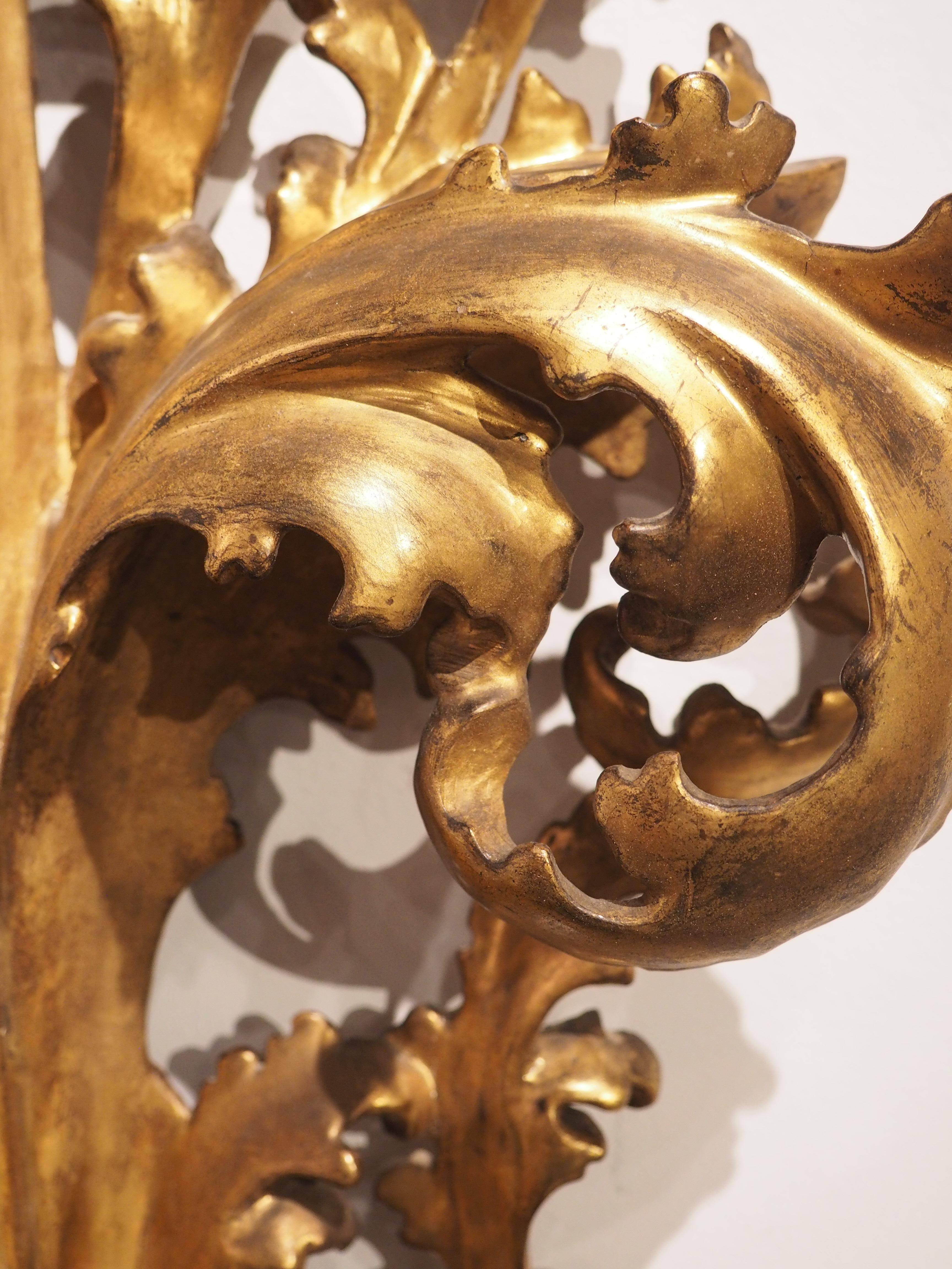 Originaire d'Italie, vers 1850, ce miroir Florentine en bois doré présente un extraordinaire déploiement de feuilles enroulées sculptées à la main sur plusieurs niveaux. Les feuilles d'acanthe épaisses ont un cœur en volute et des protubérances