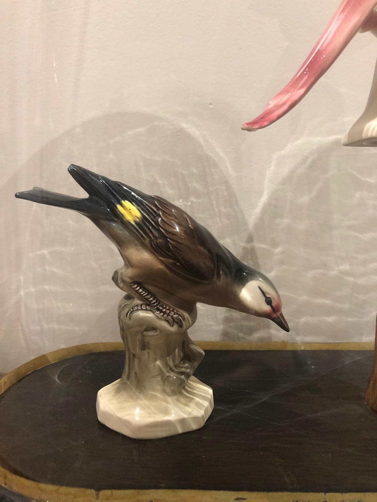 Beautiful German ceramic birds set up under an antique glass dome.