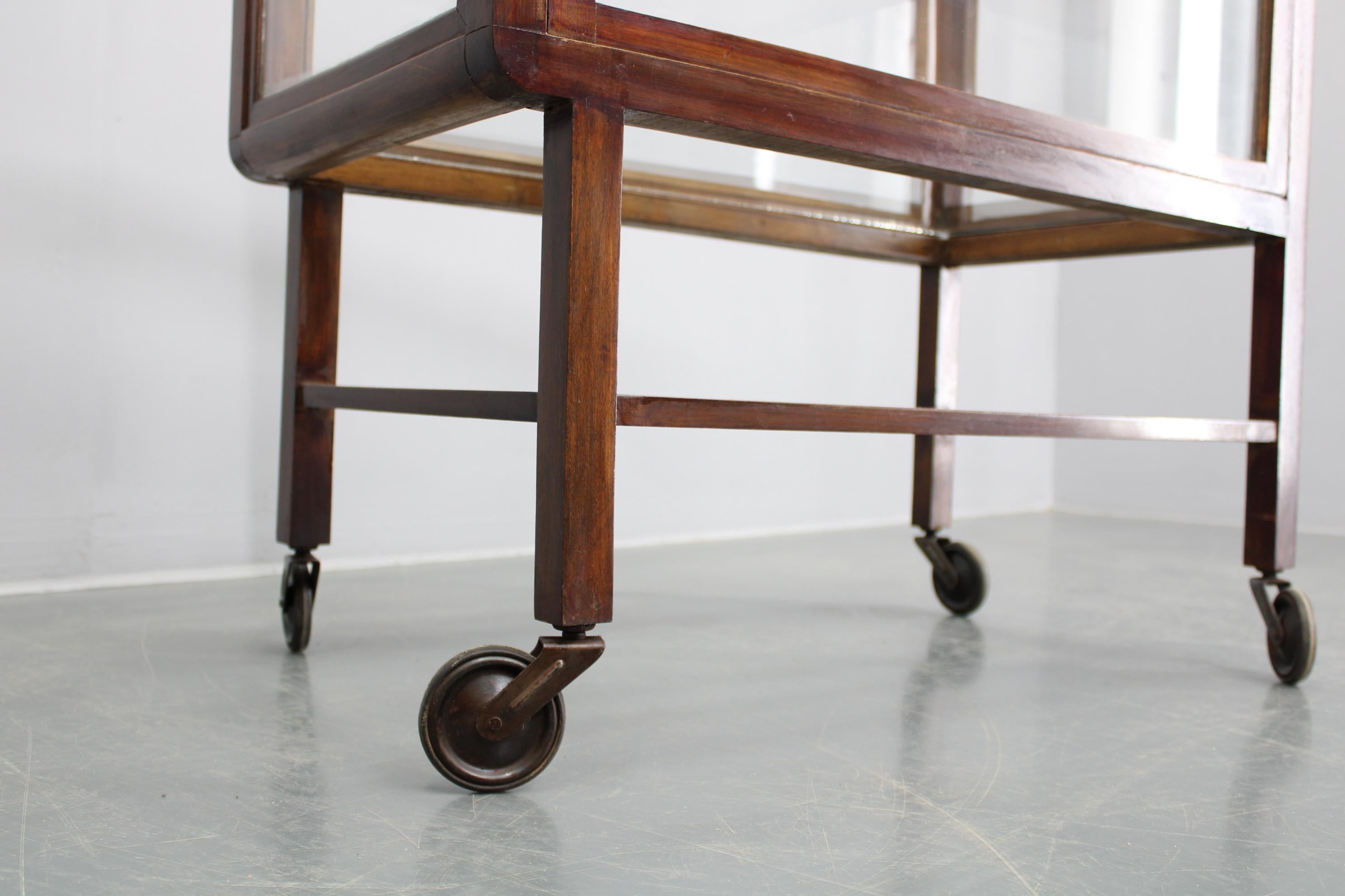 Antique Glass Cabinet on Wheels 5