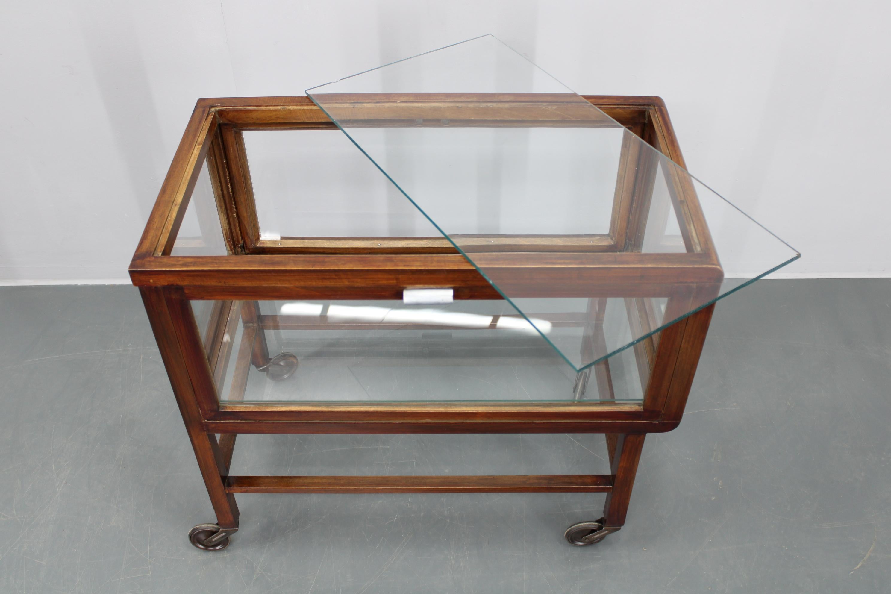 Antique Glass Cabinet on Wheels 10