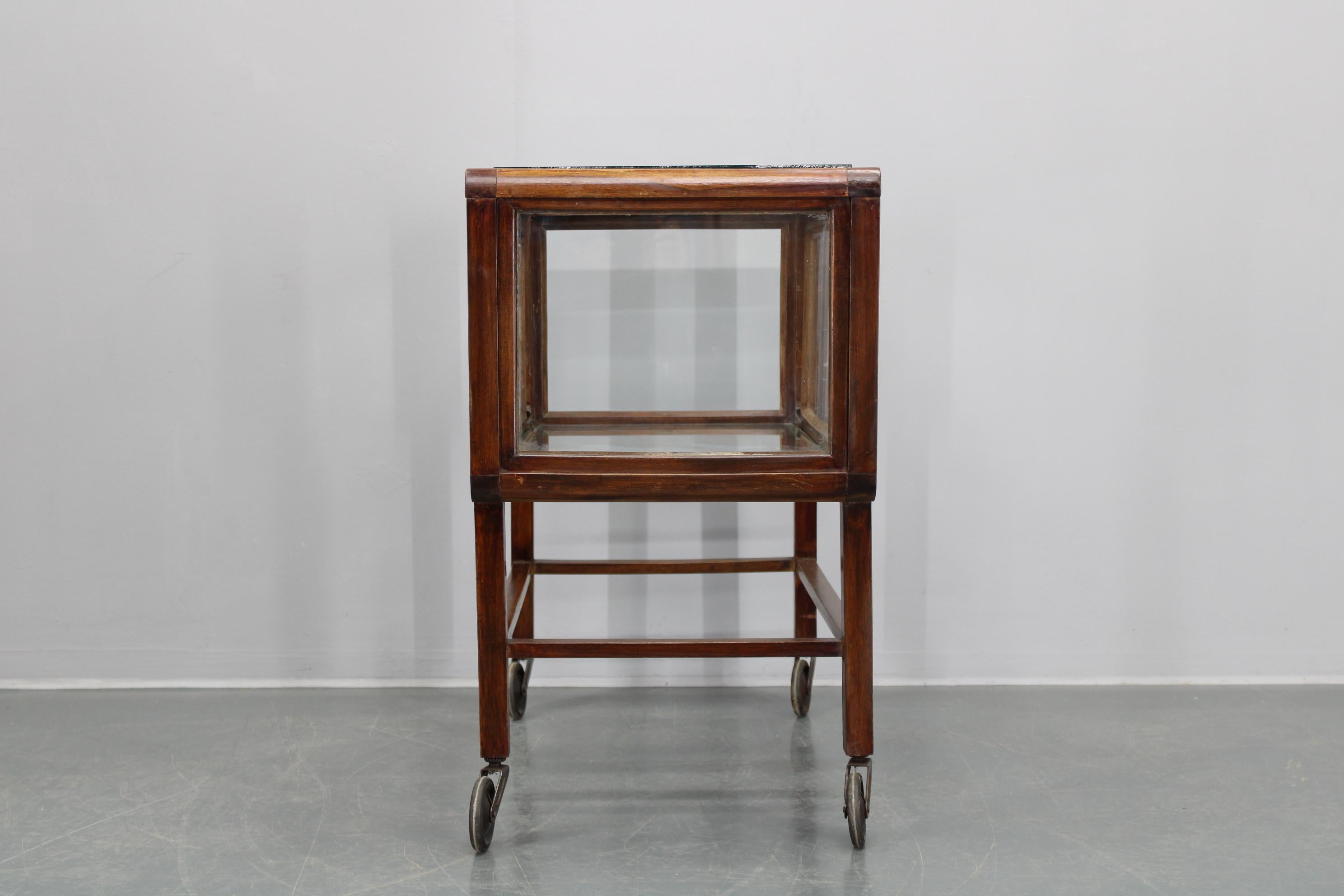 Czech Antique Glass Cabinet on Wheels
