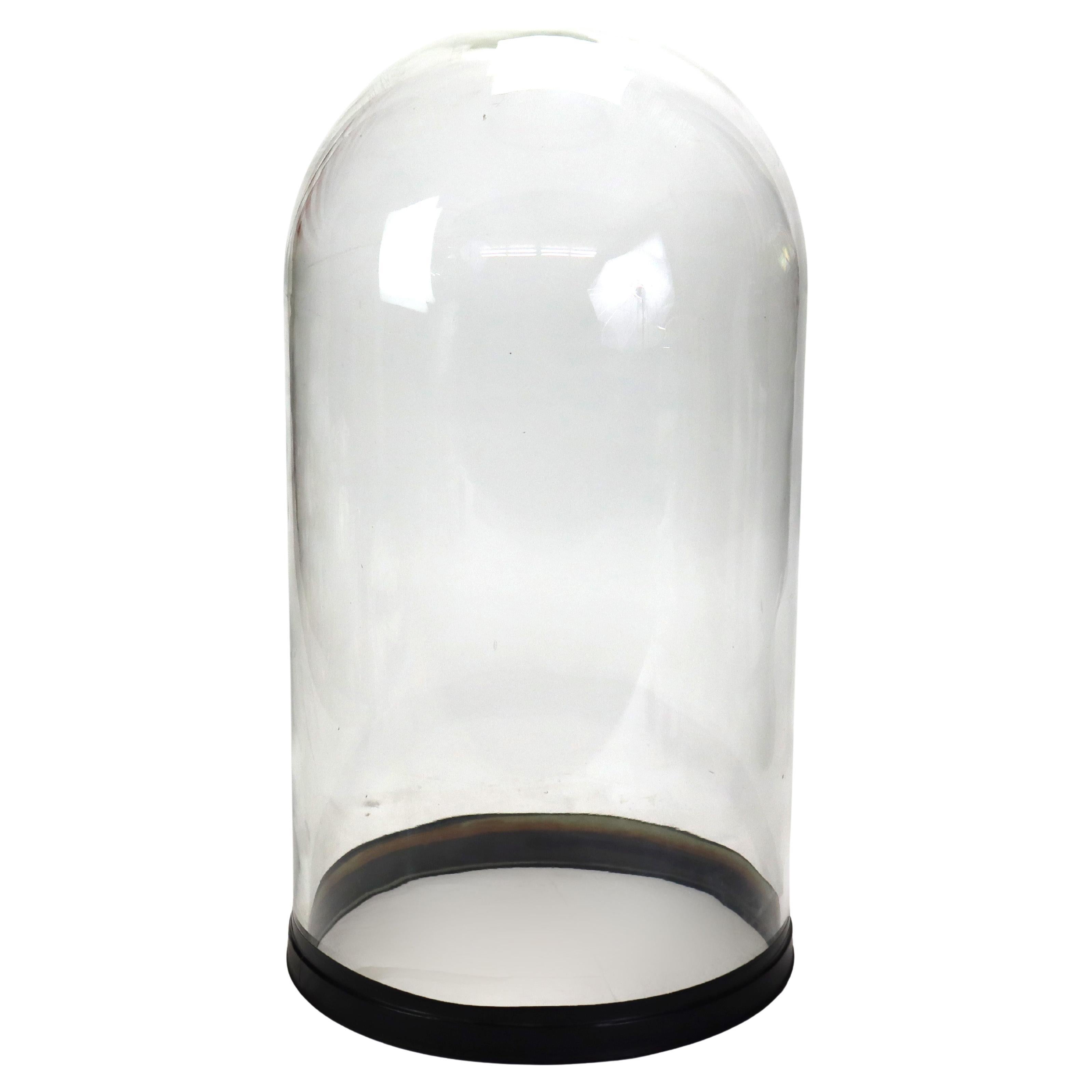 Antique Glass Cloche Display Dome C1900