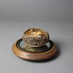 Antique Glass Display Dome with Porcelain Nesting Bird C1890